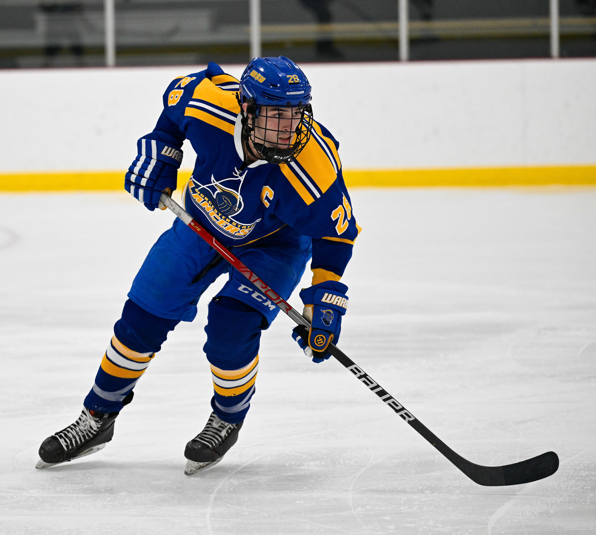 WSU Men's Ice Hockey