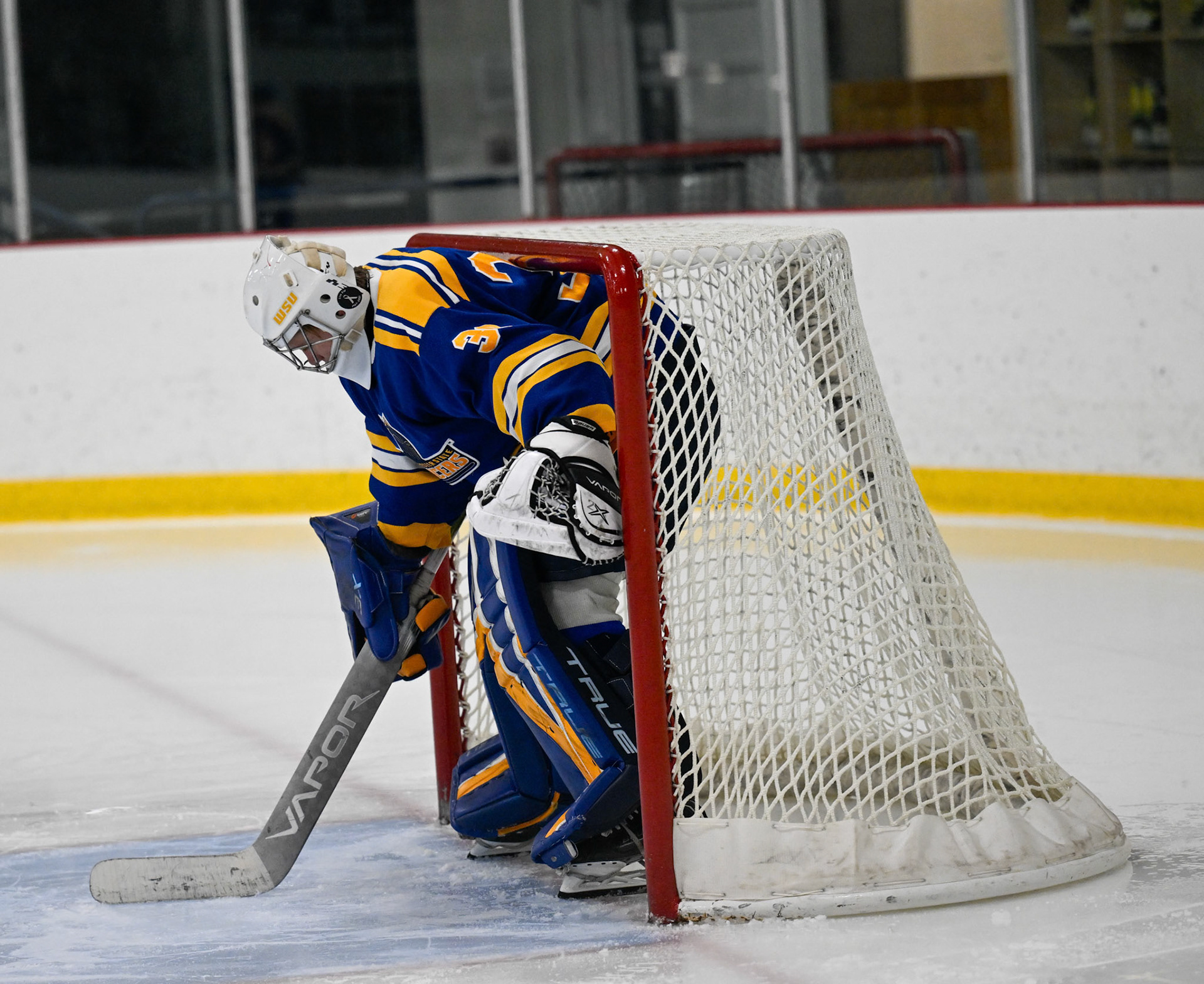 WSU Men's Ice Hockey