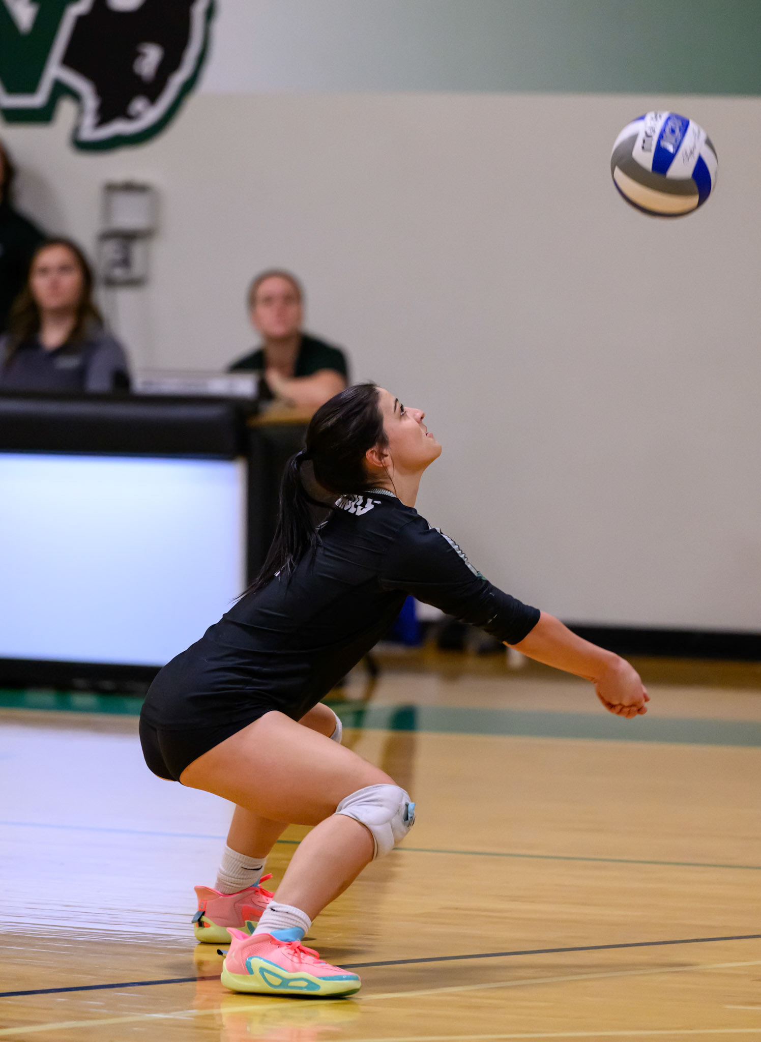 Nichols Volleyball