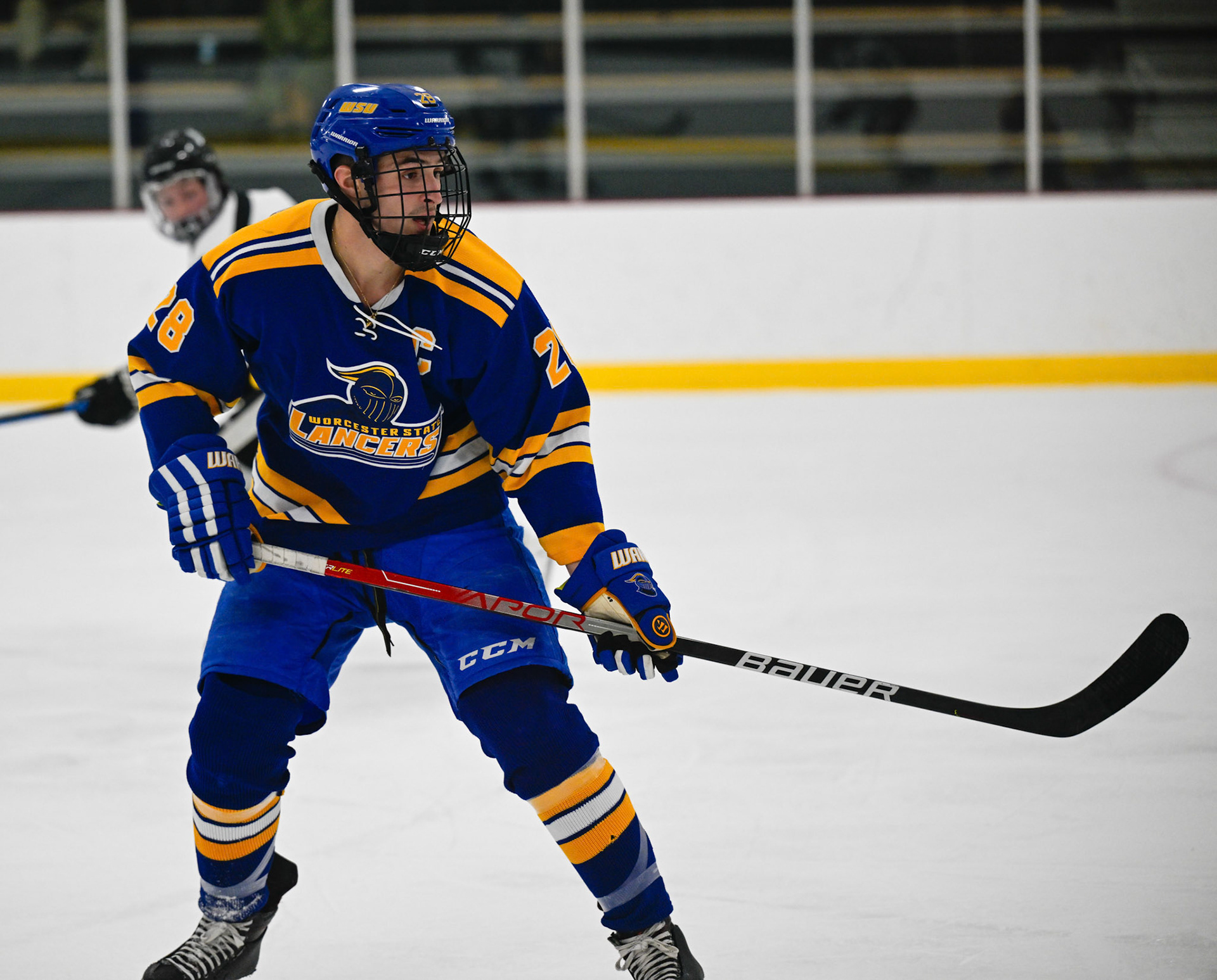 WSU Men's Ice Hockey