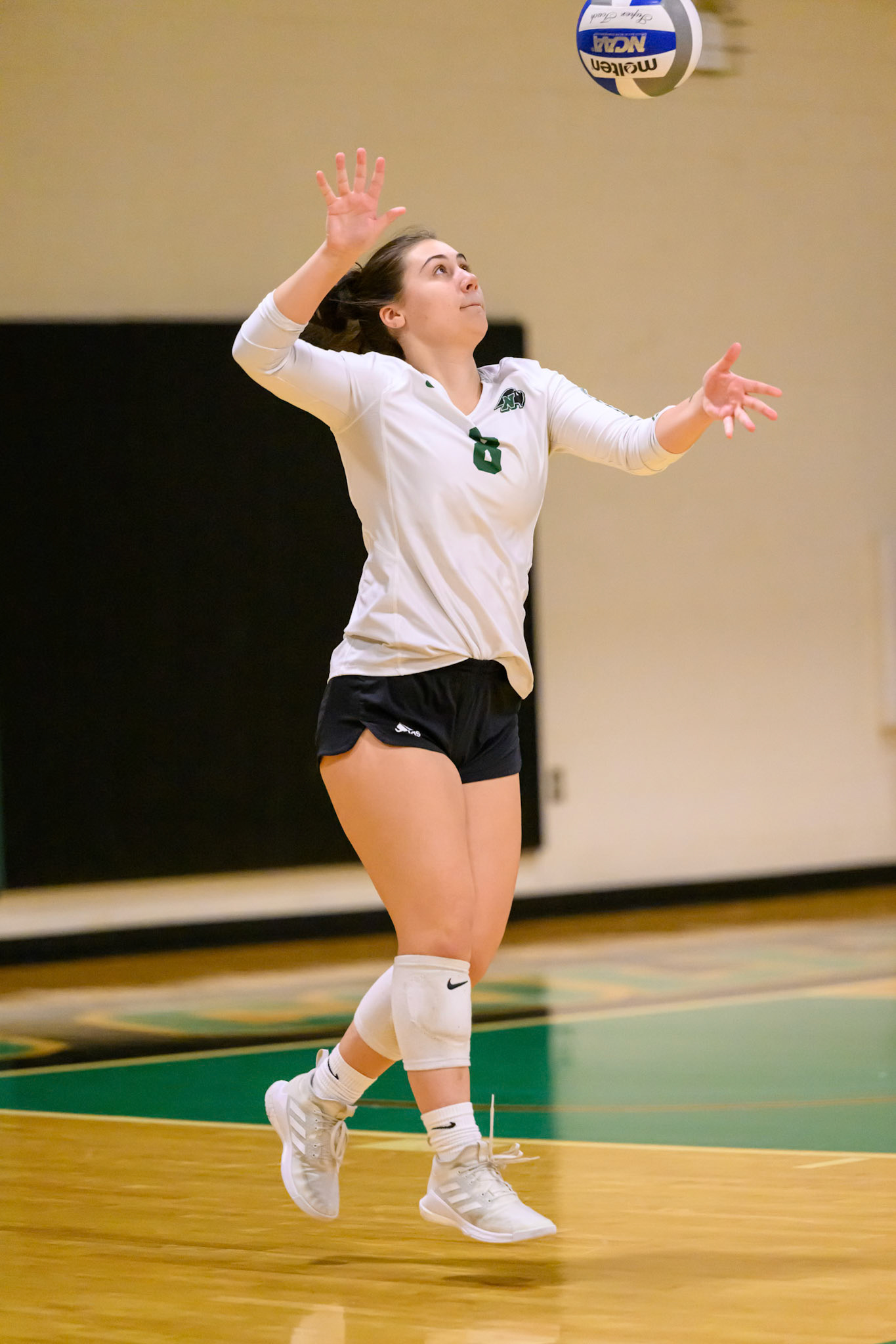 Nichols Volleyball