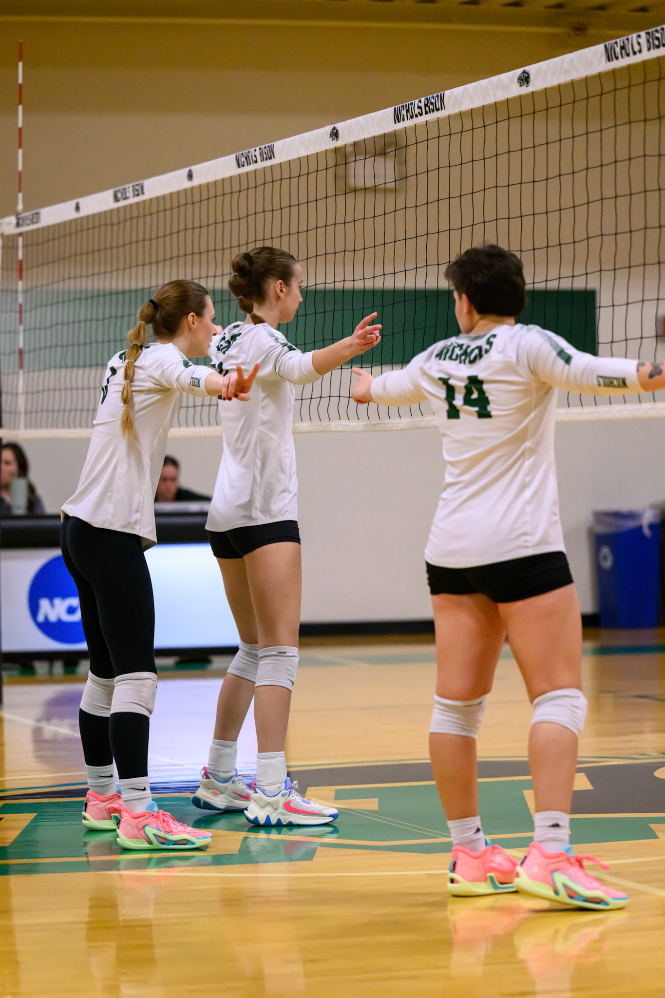 Nichols Volleyball