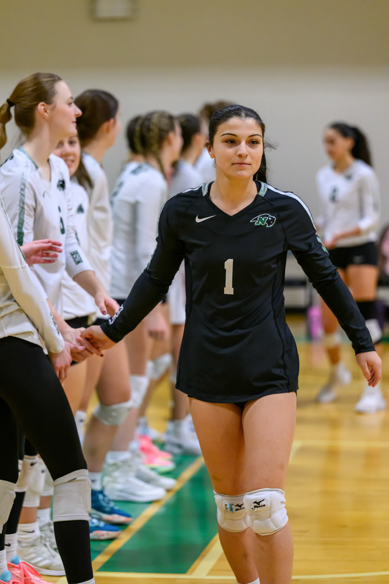 Nichols Volleyball