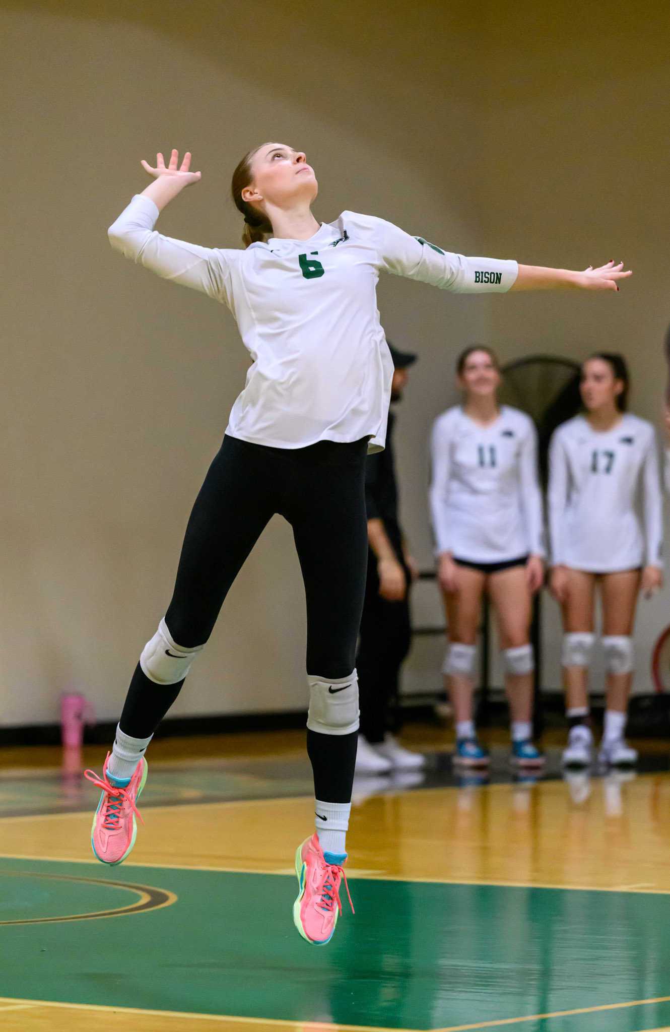 Nichols Volleyball