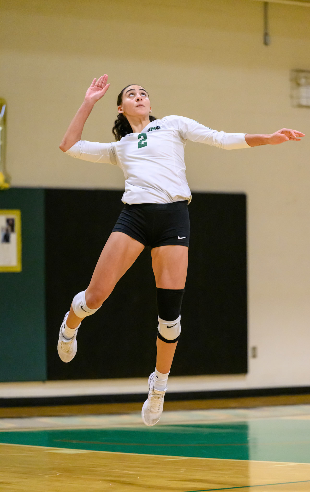 Nichols Volleyball