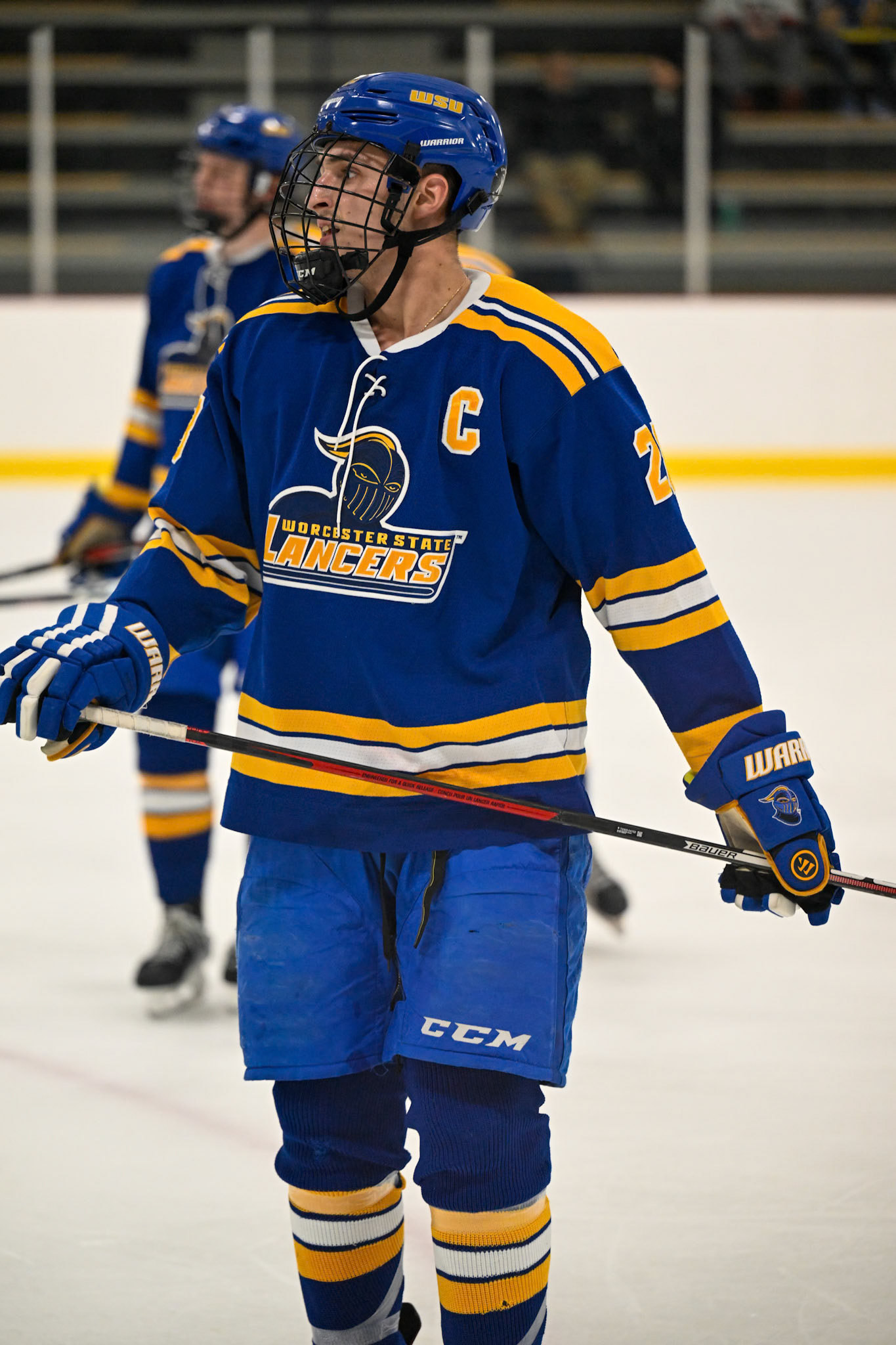 WSU Men's Ice Hockey