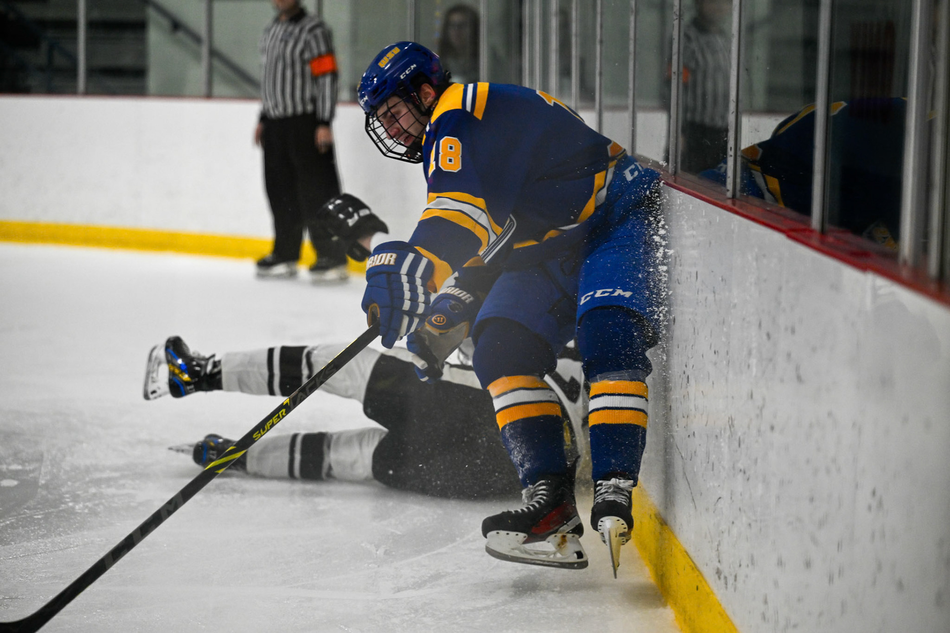 WSU Men's Ice Hockey