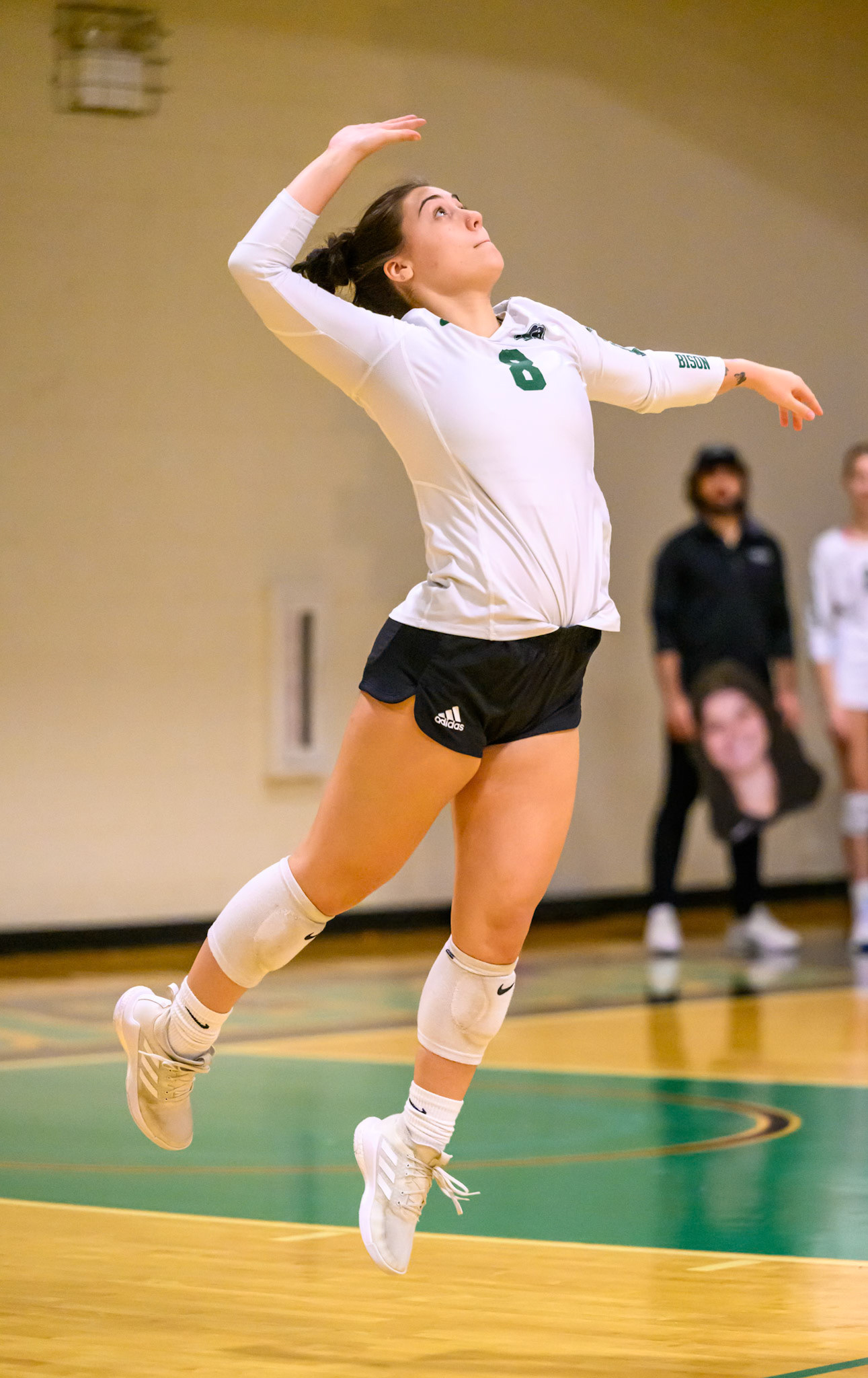 Nichols Volleyball