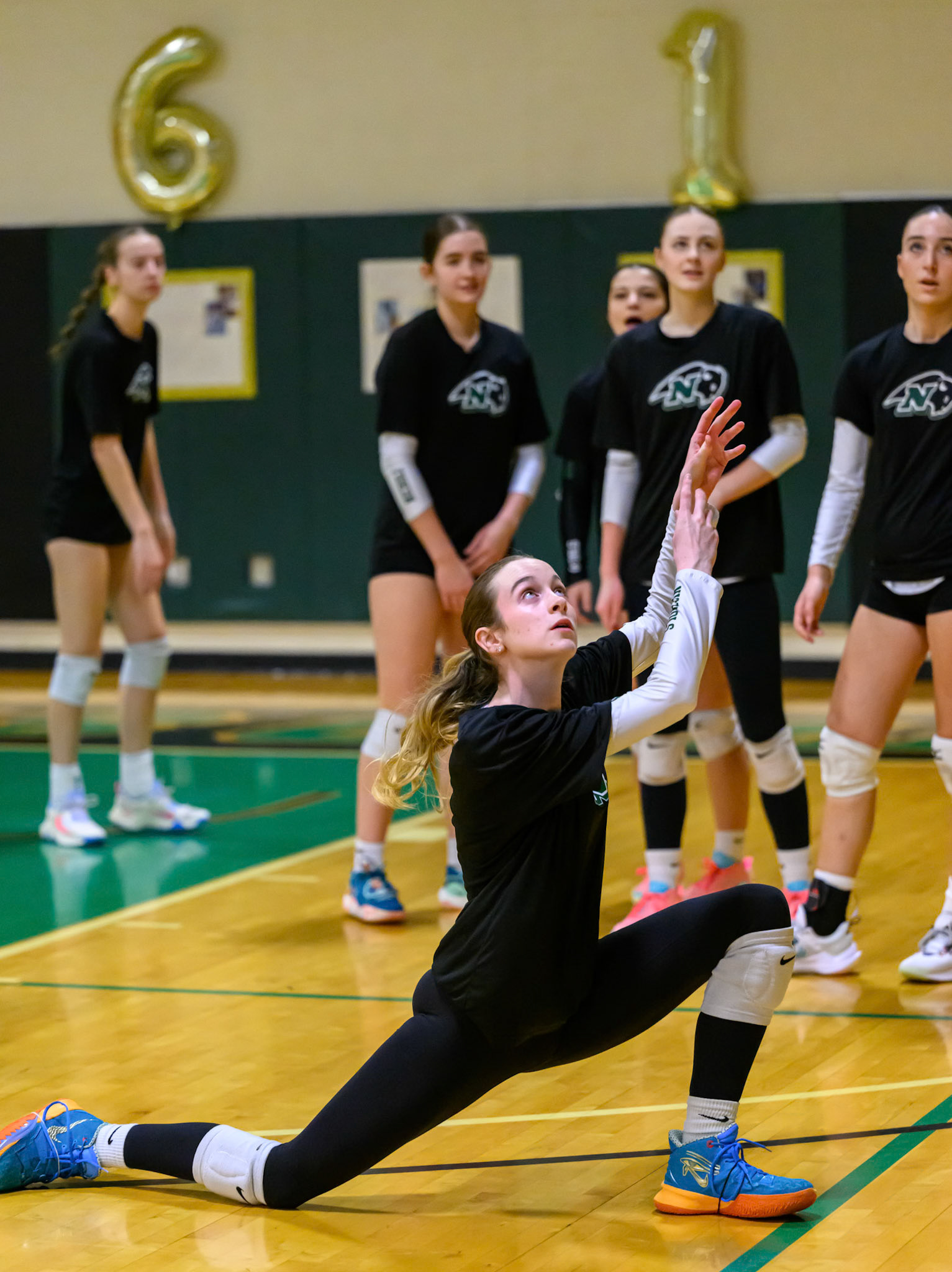 Nichols Volleyball