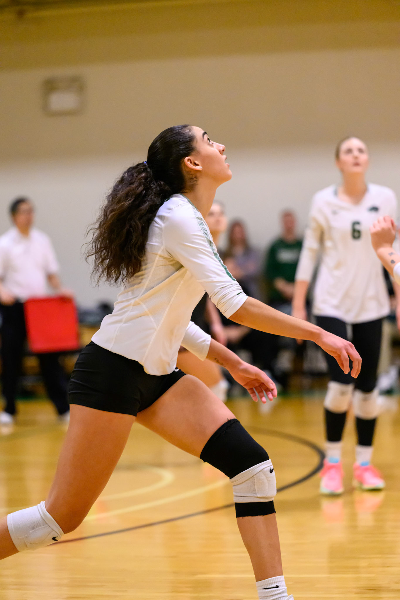 Nichols Volleyball