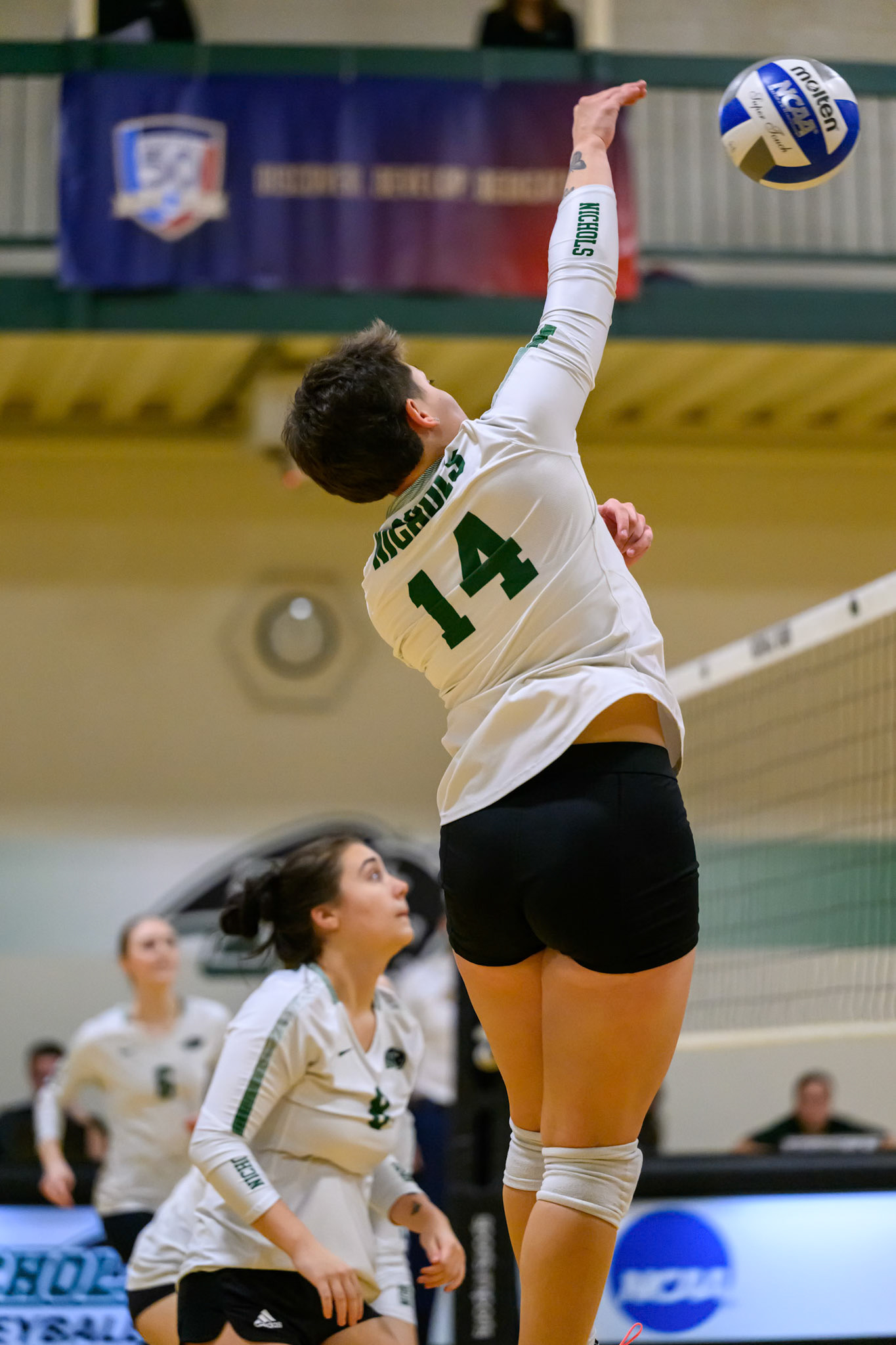 Nichols Volleyball