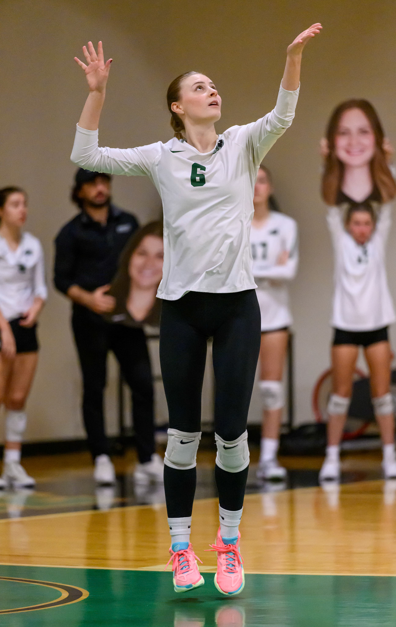 Nichols Volleyball