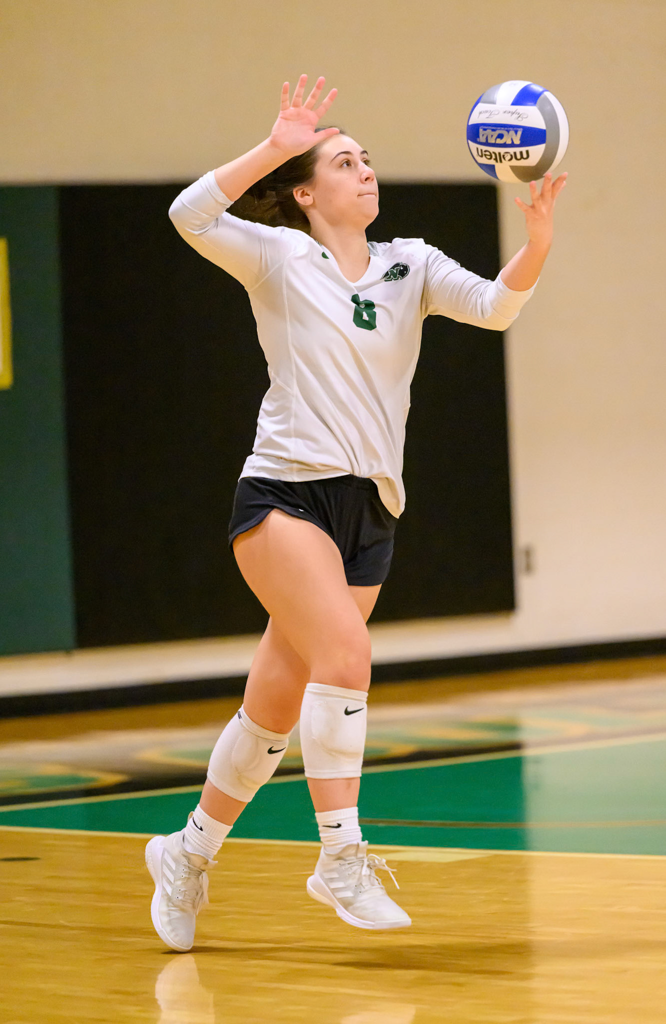 Nichols Volleyball