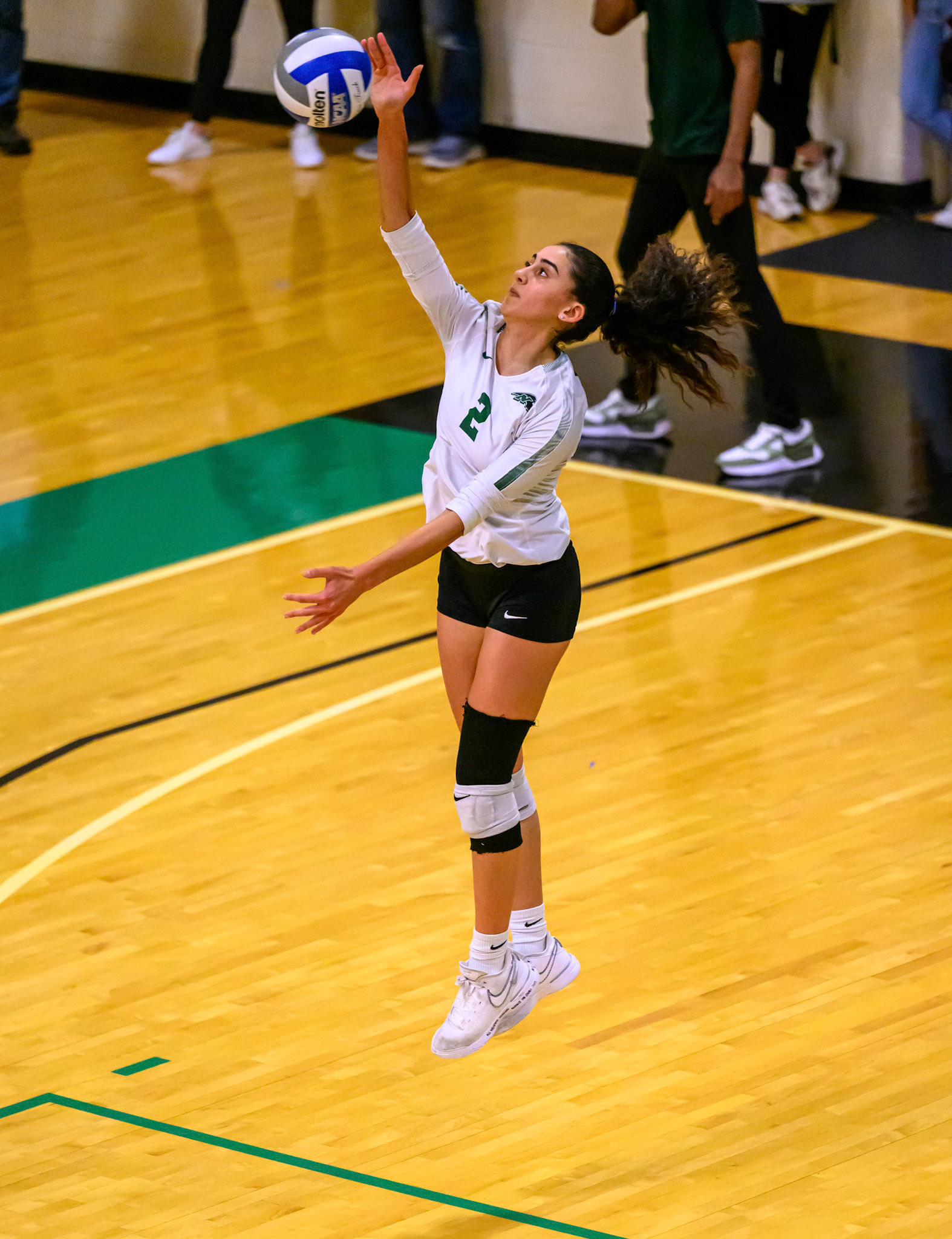 Nichols Volleyball