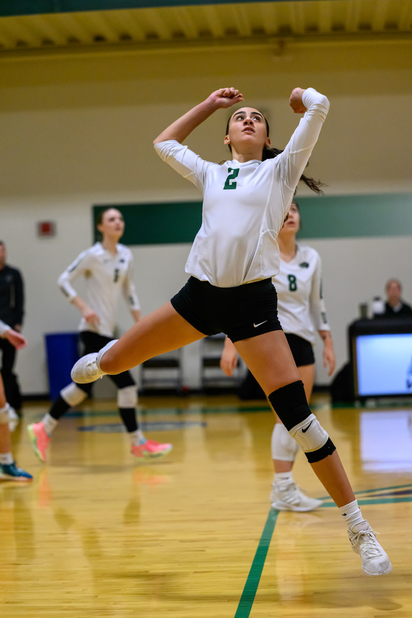 Nichols Volleyball