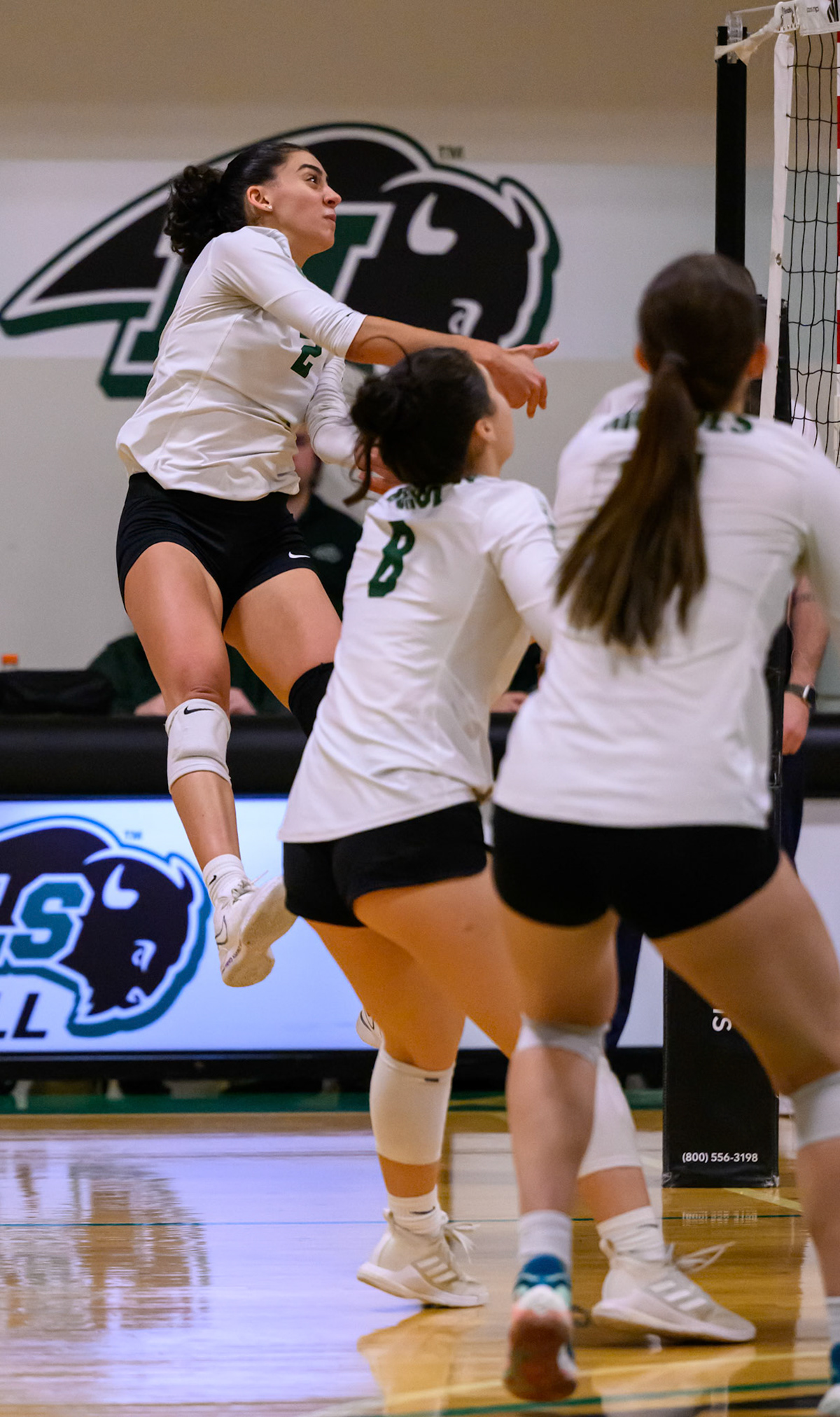 Nichols Volleyball