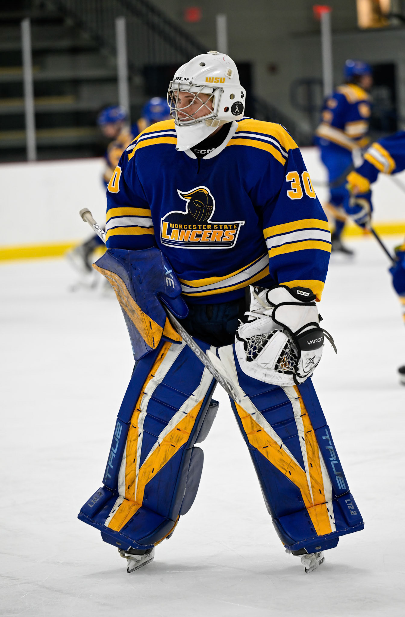 WSU Men's Ice Hockey