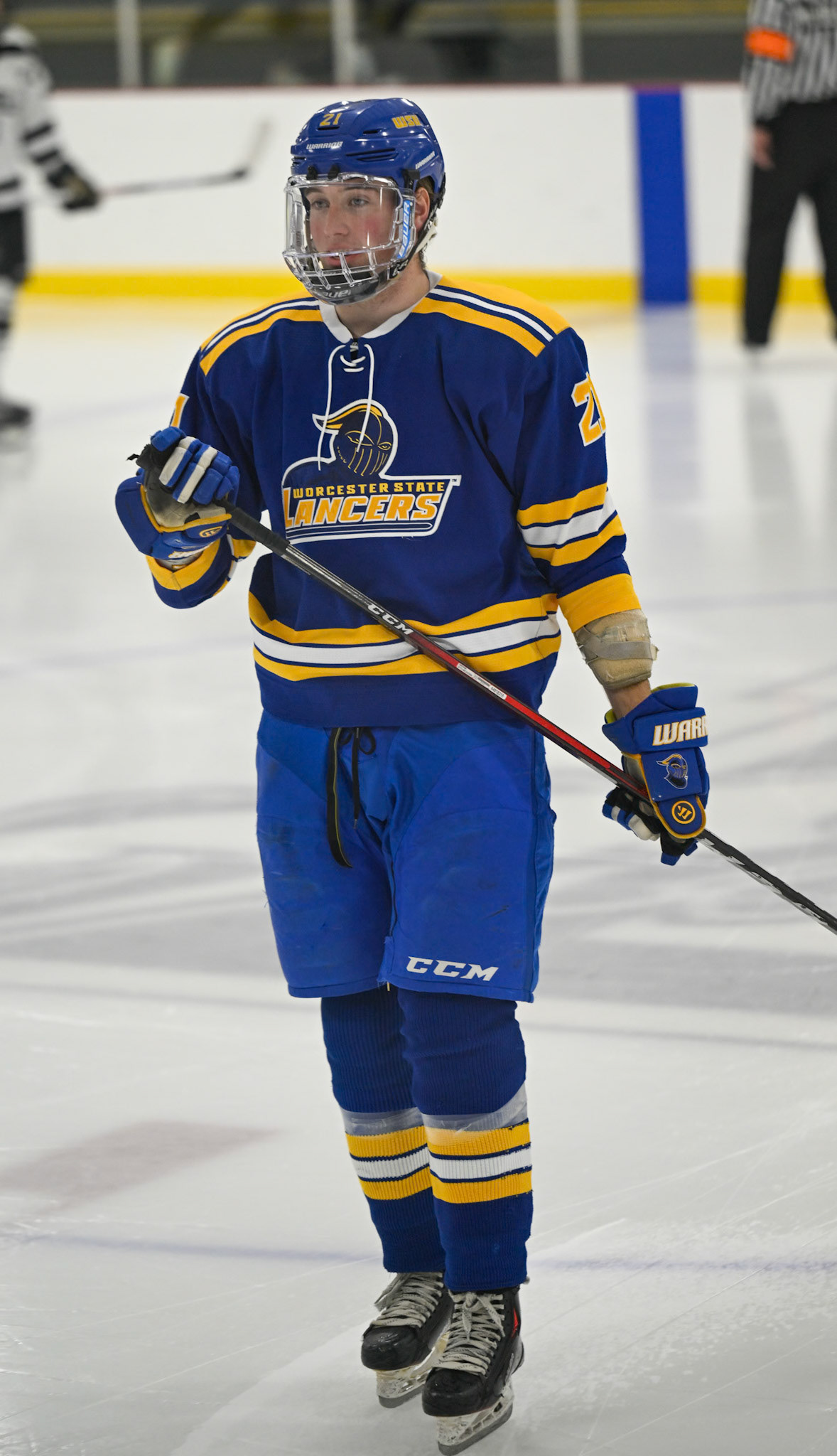 WSU Men's Ice Hockey