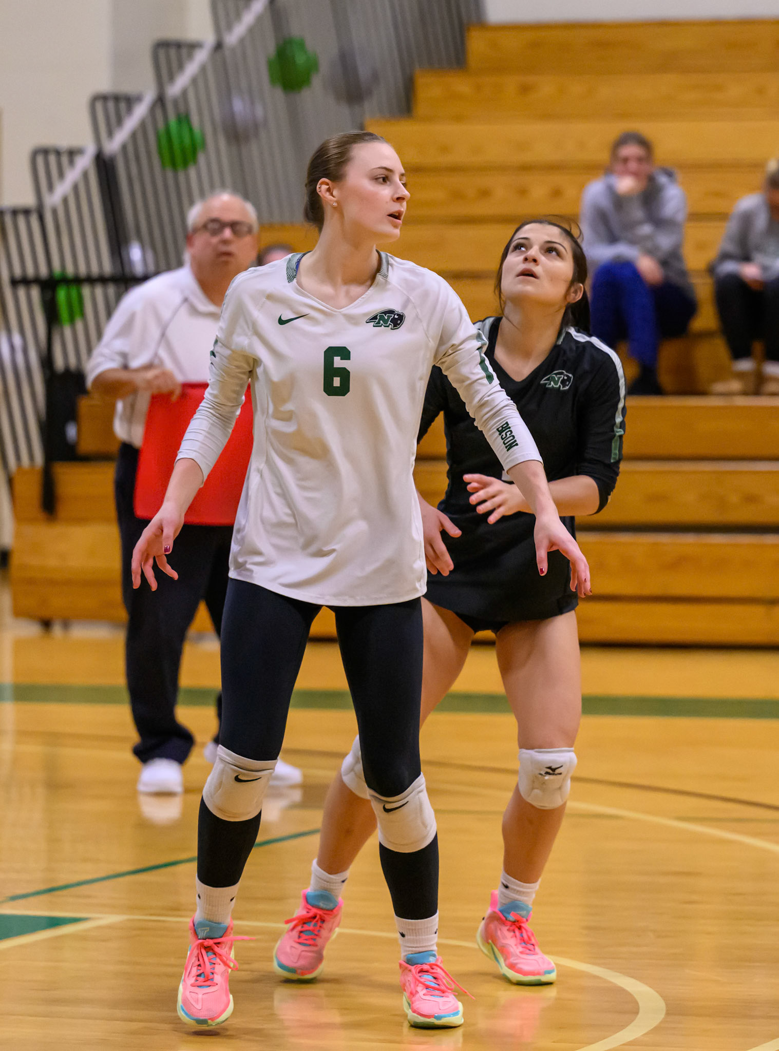 Nichols Volleyball