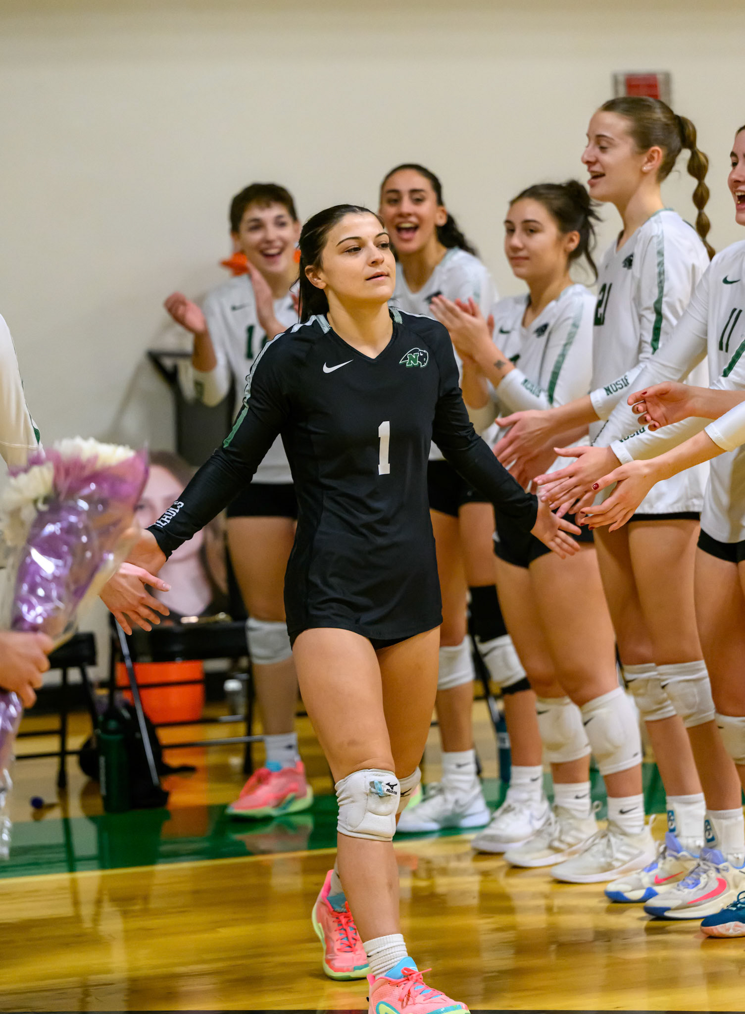 Nichols Volleyball
