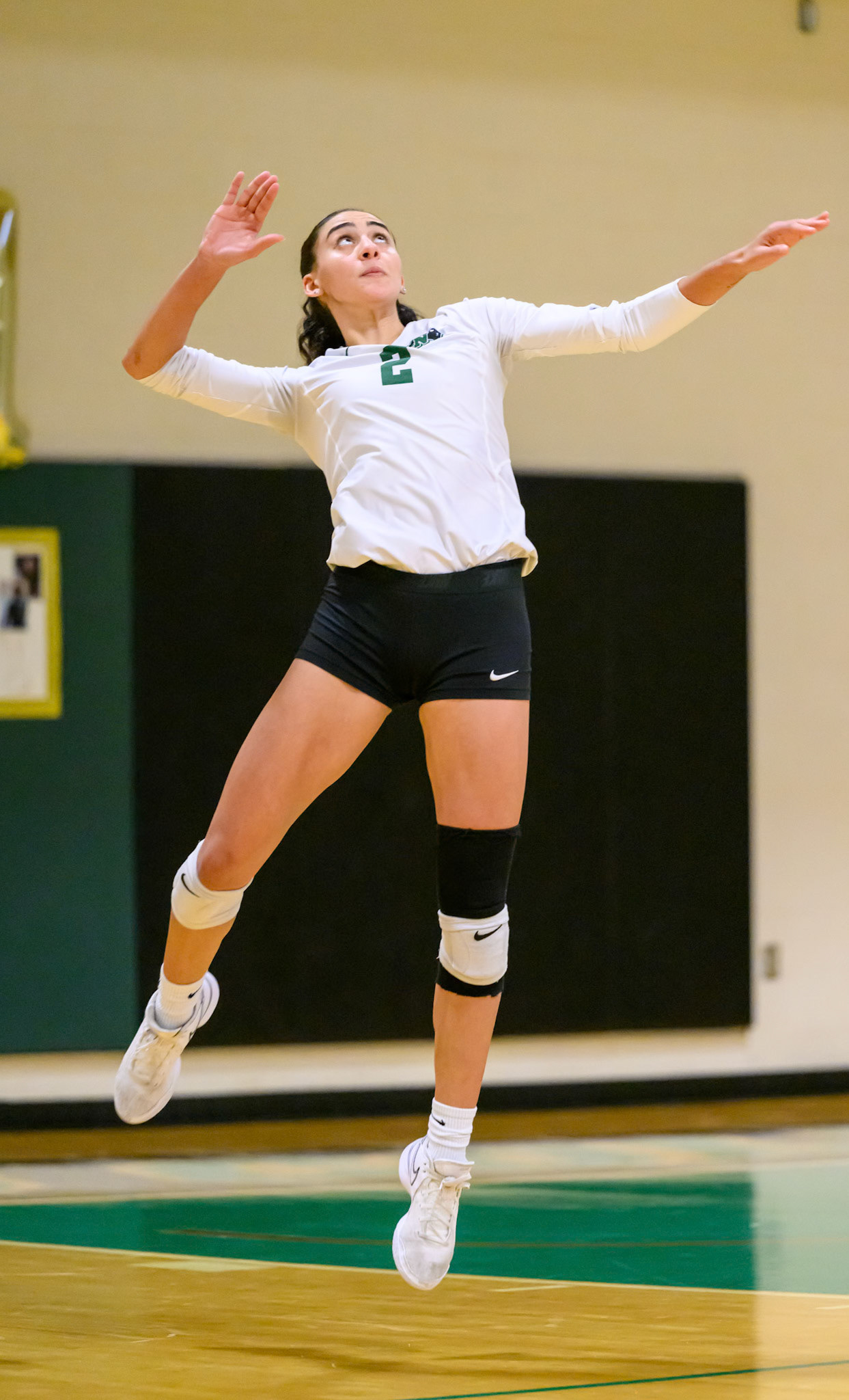 Nichols Volleyball