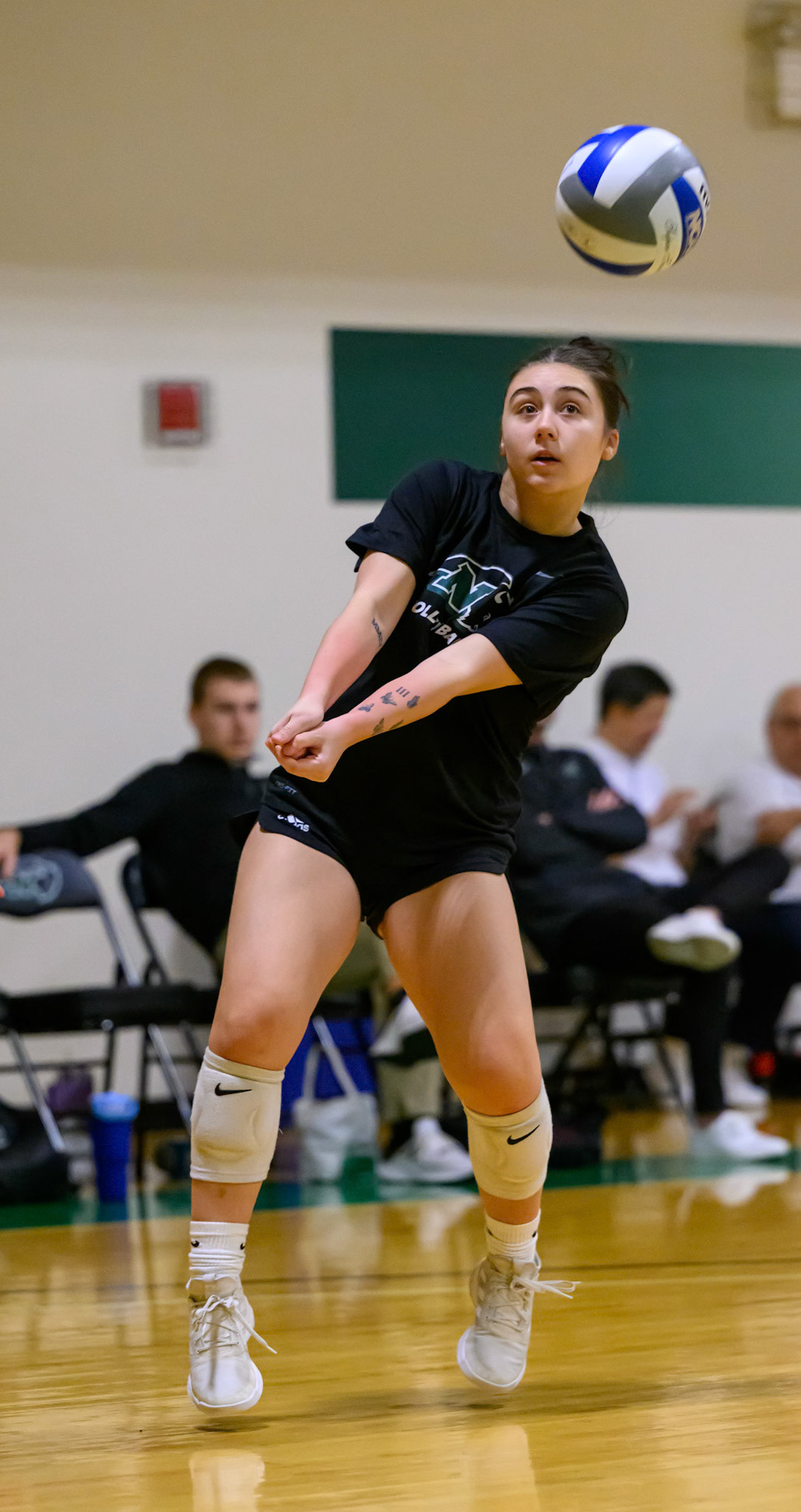 Nichols Volleyball