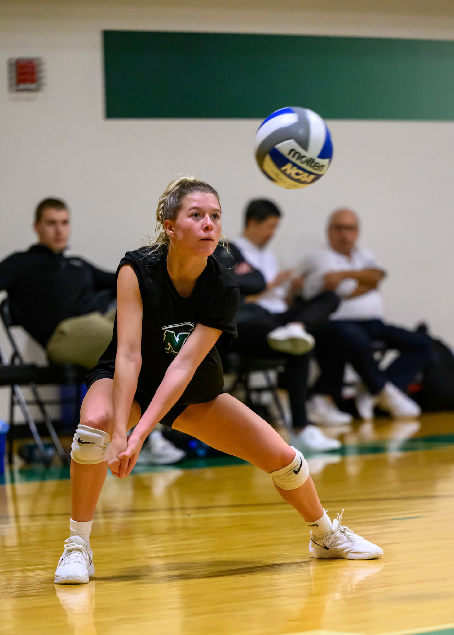 Nichols Volleyball