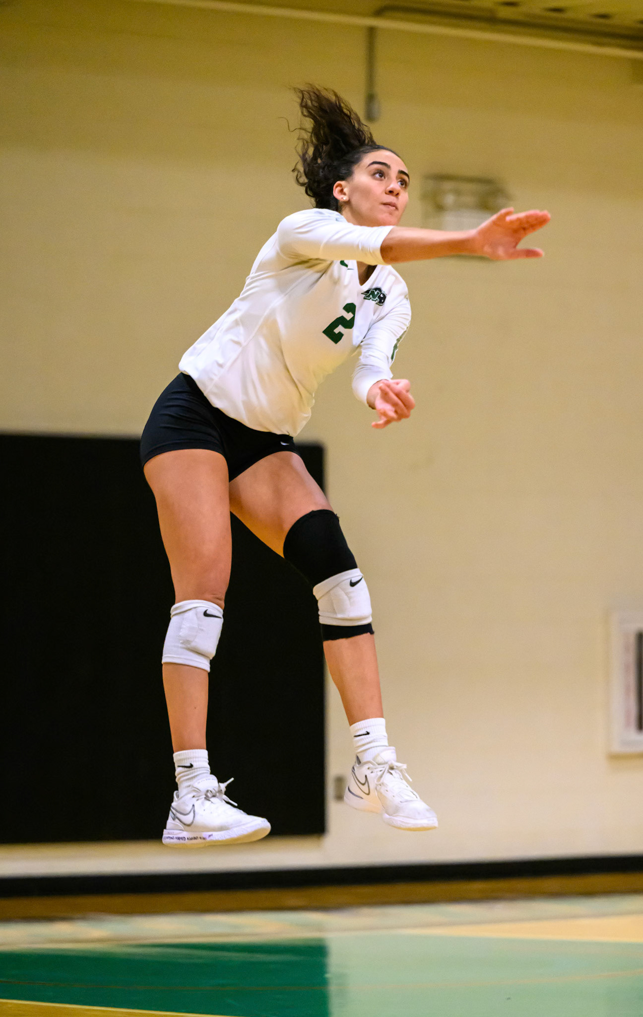 Nichols Volleyball