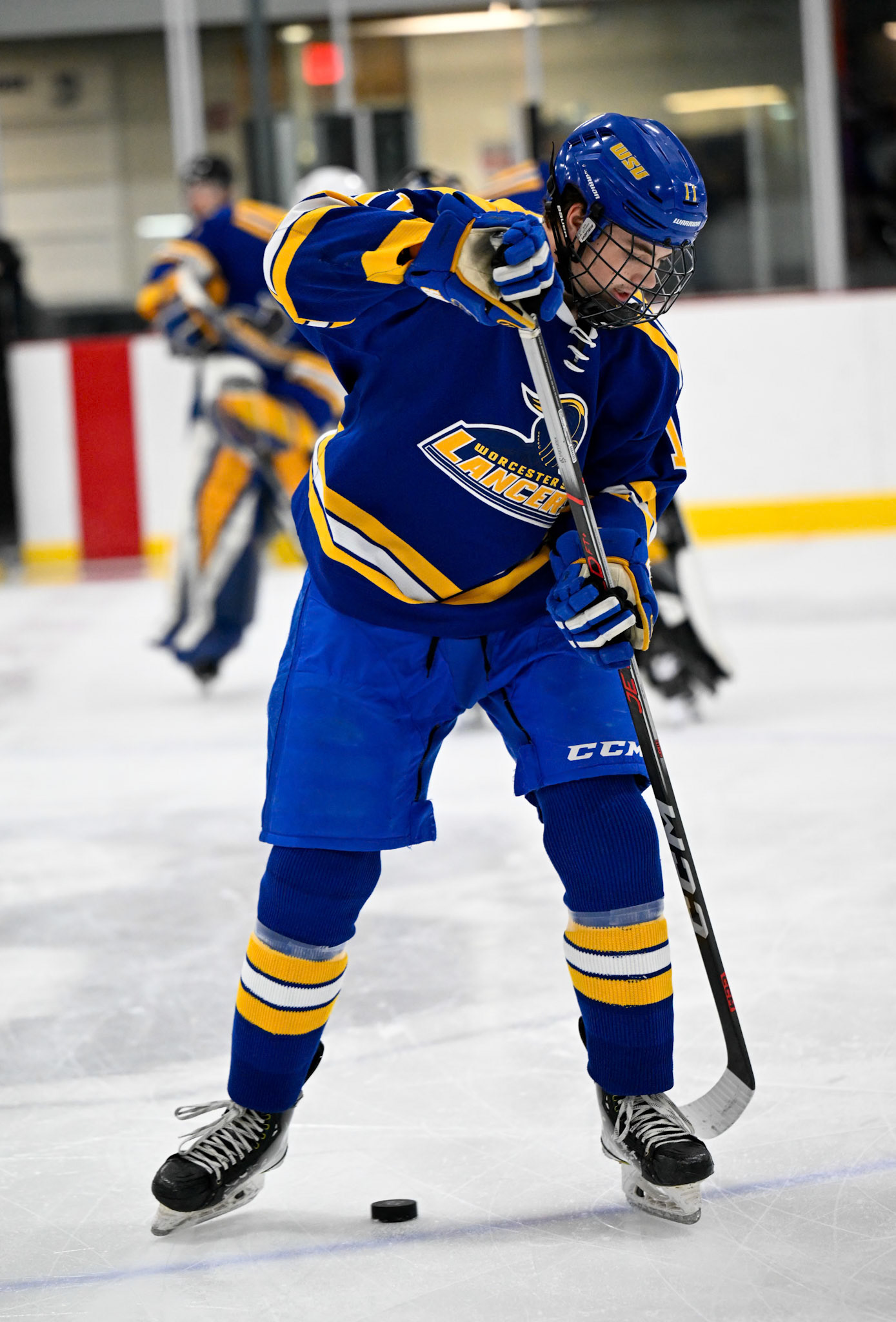 WSU Men's Ice Hockey