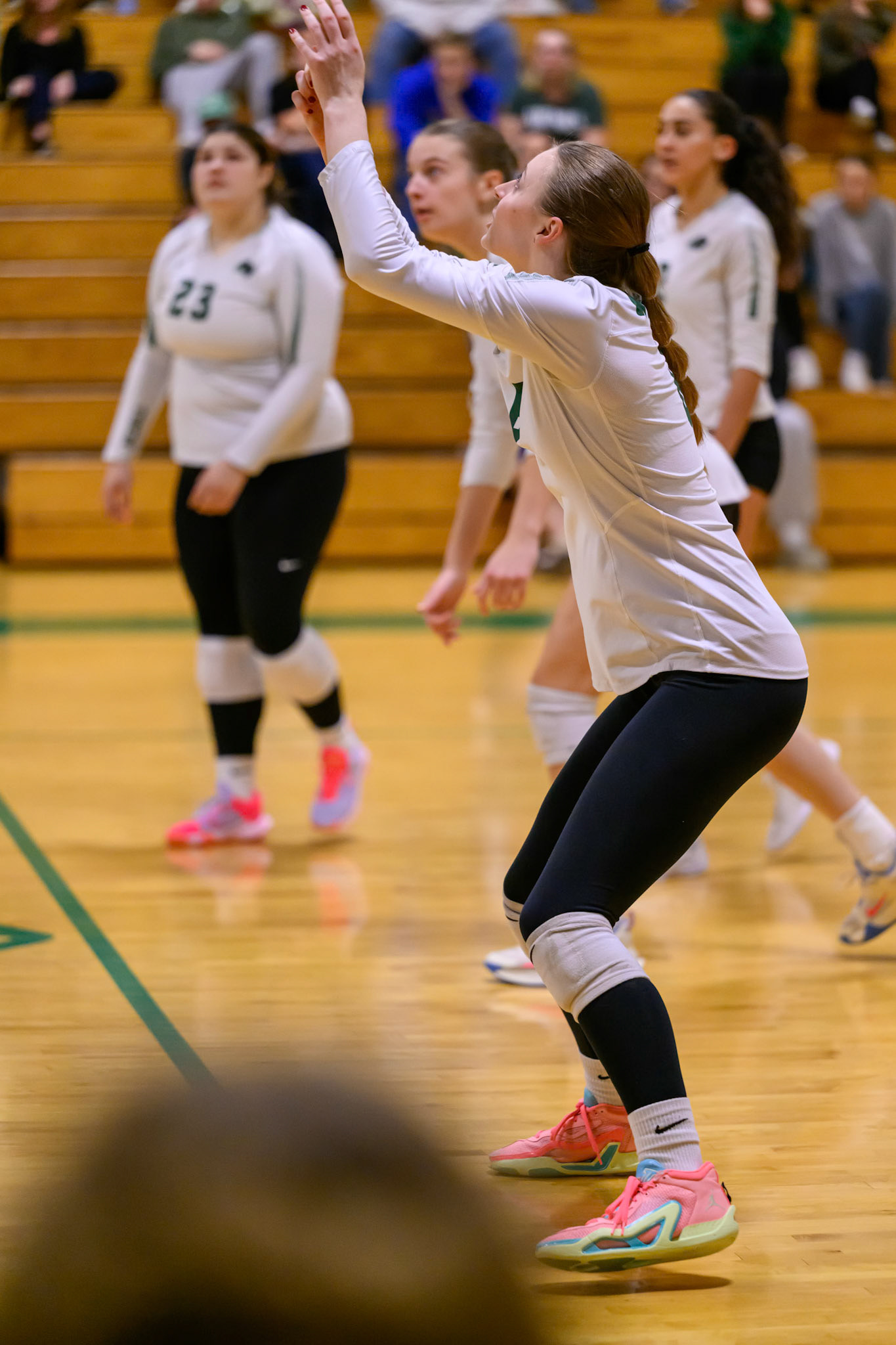 Nichols Volleyball