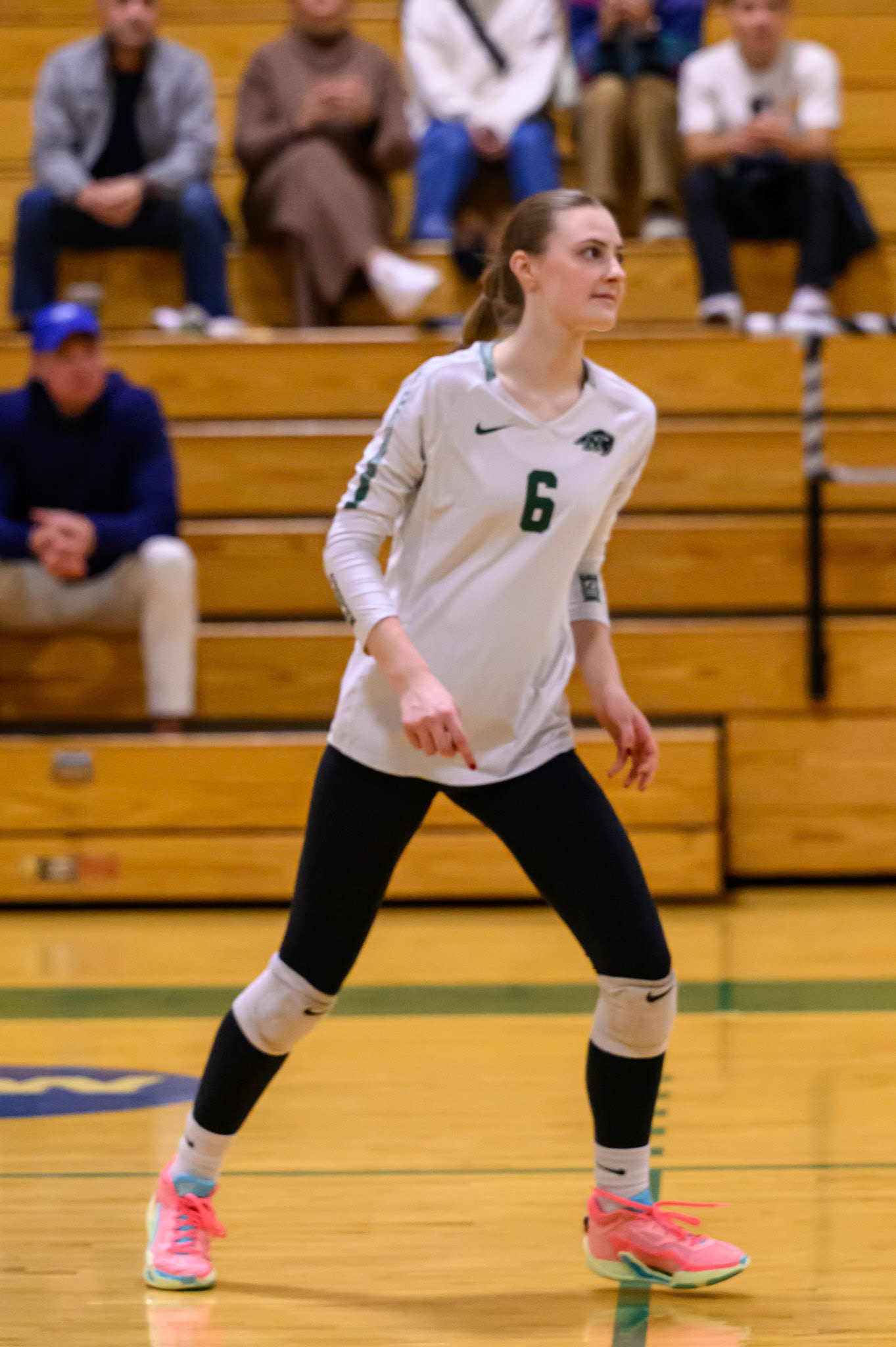 Nichols Volleyball