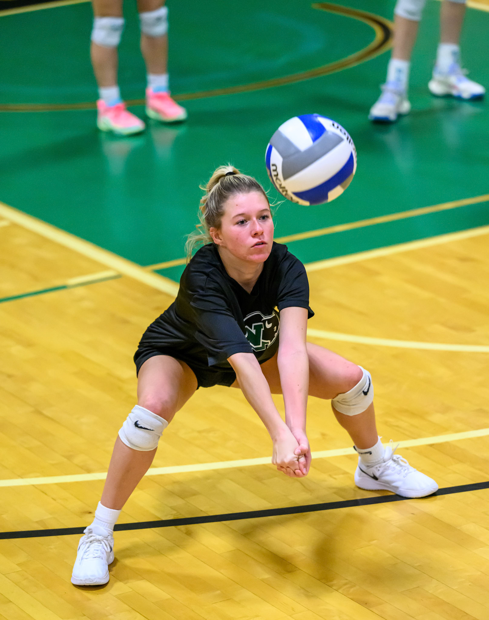 Nichols Volleyball