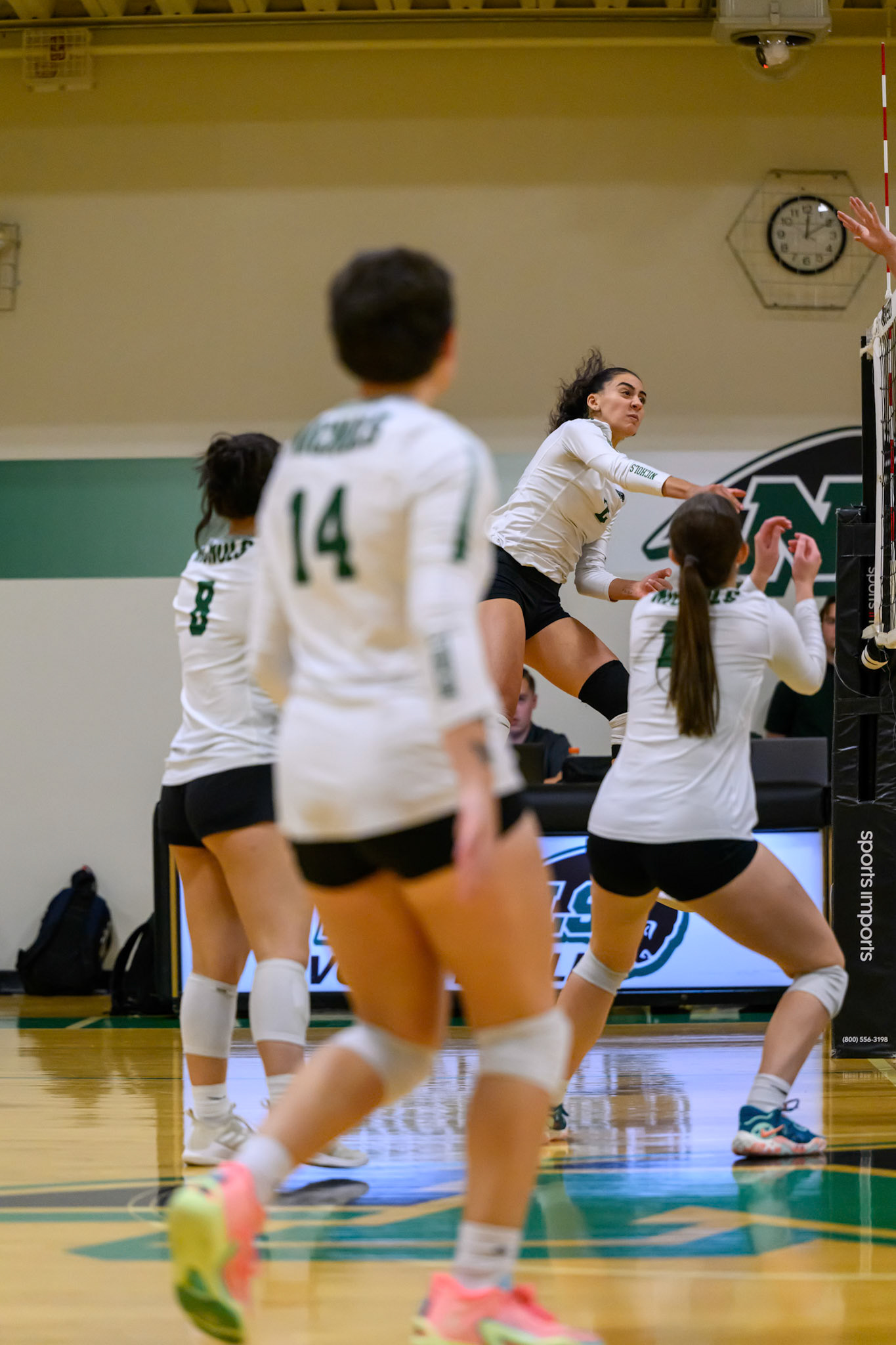 Nichols Volleyball