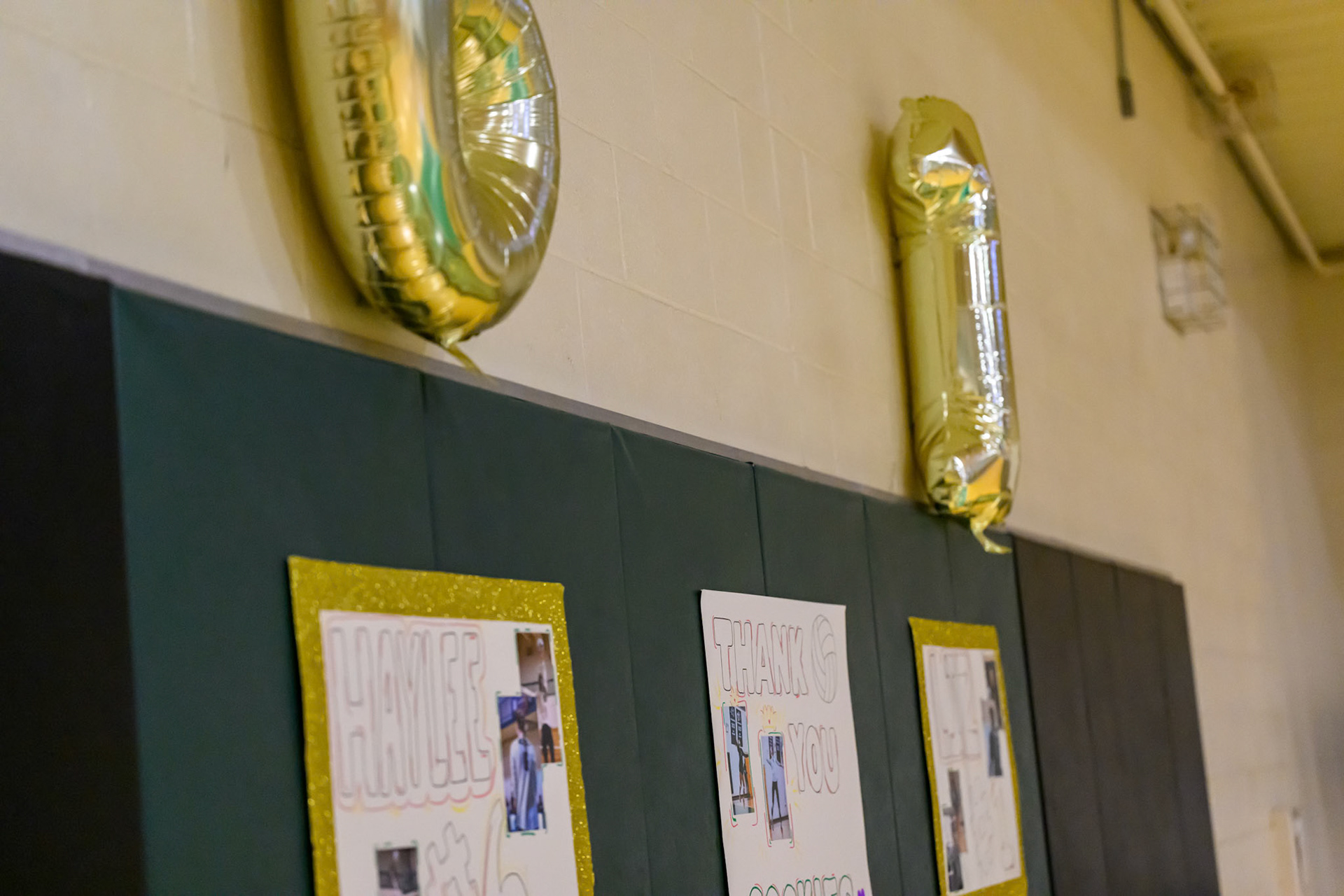 Nichols Volleyball