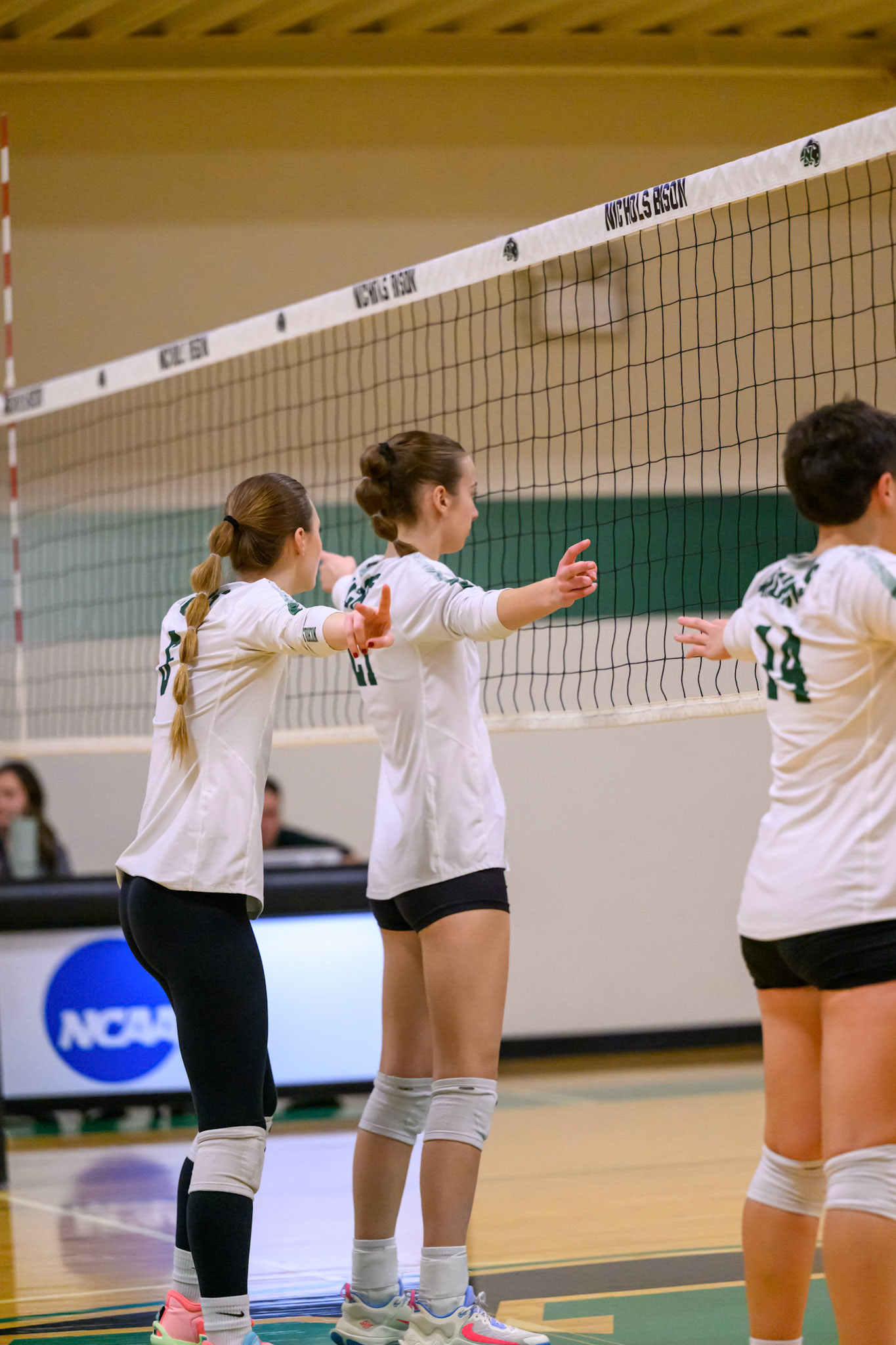 Nichols Volleyball