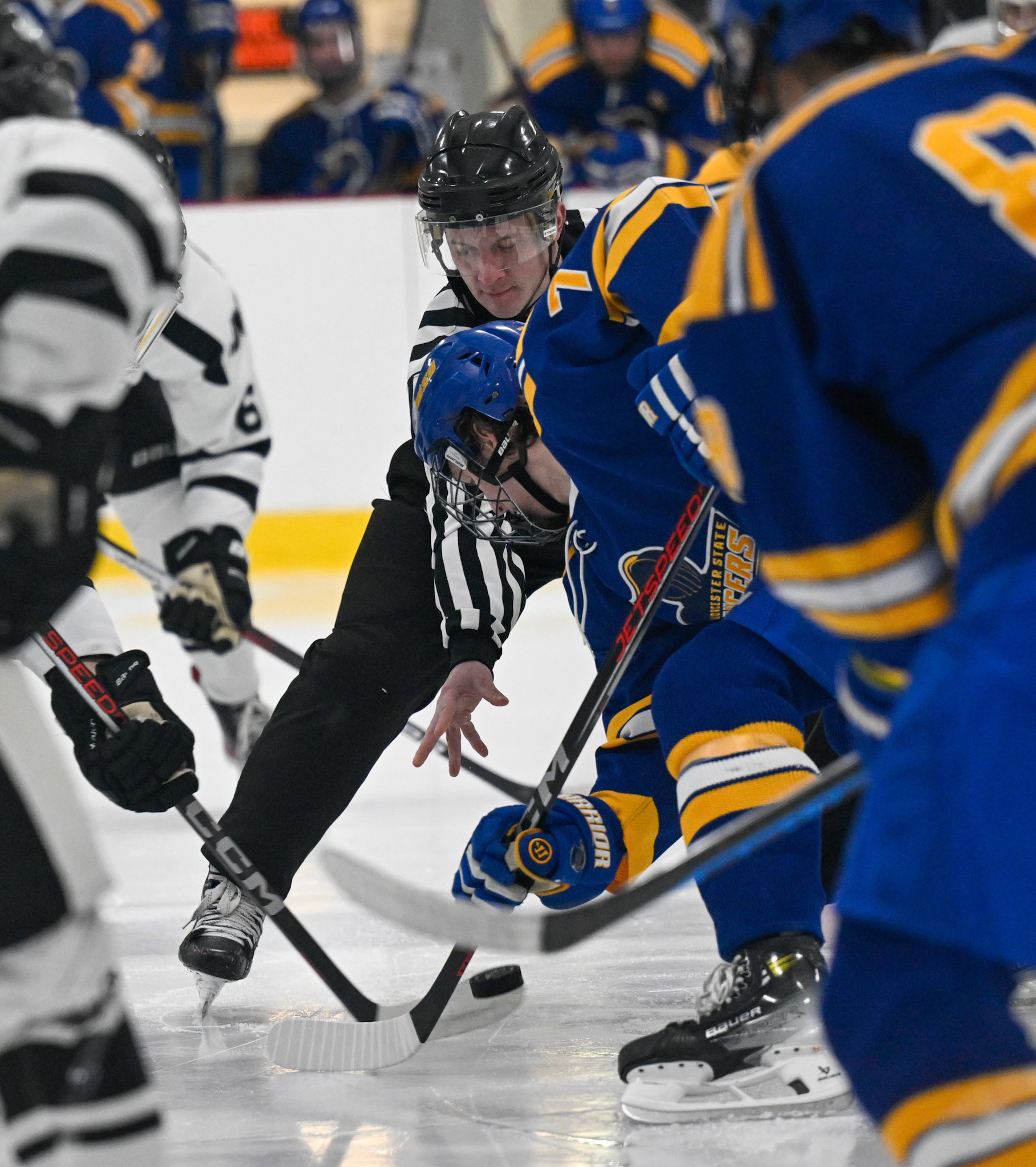 WSU Men's Ice Hockey