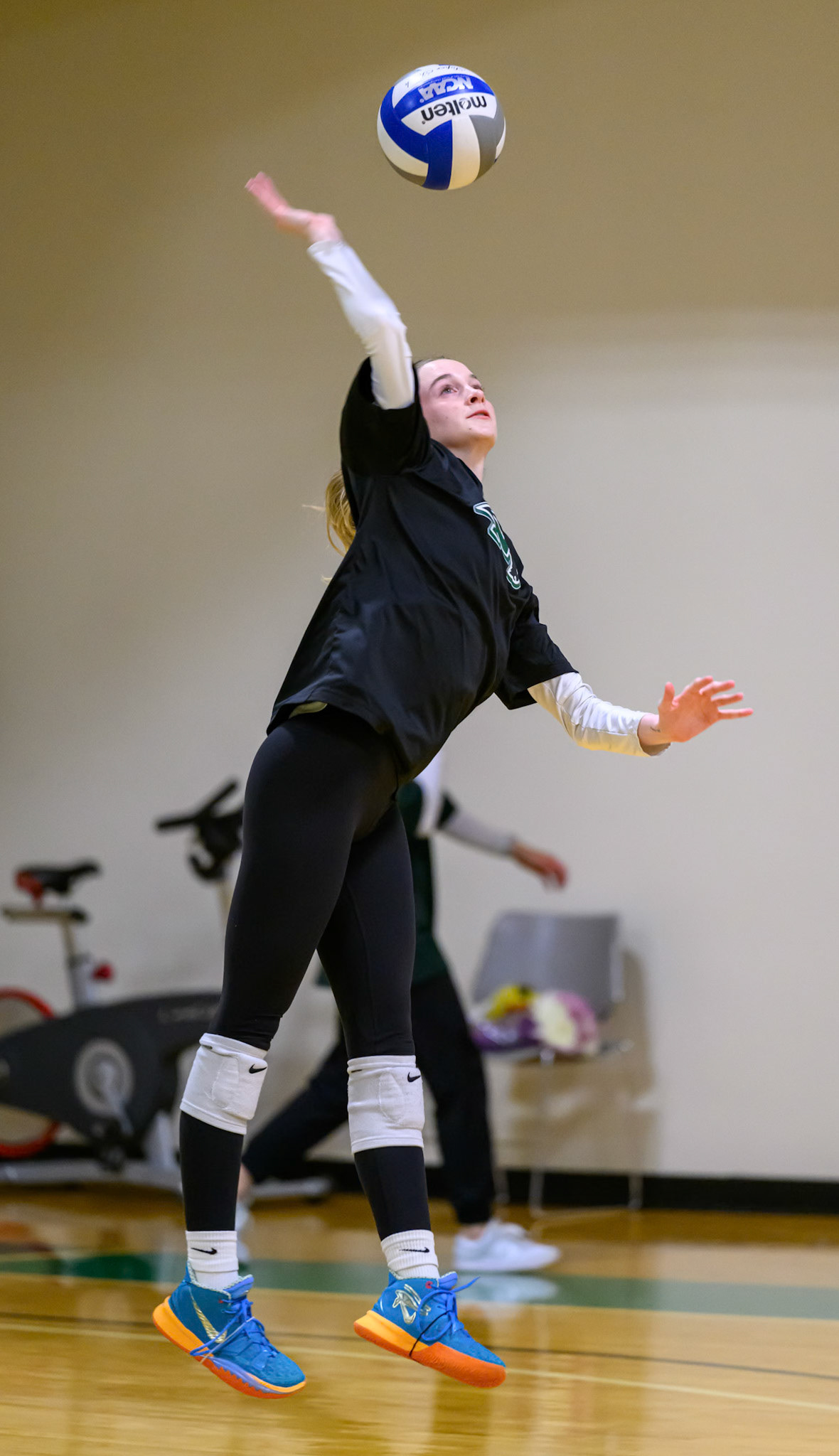 Nichols Volleyball