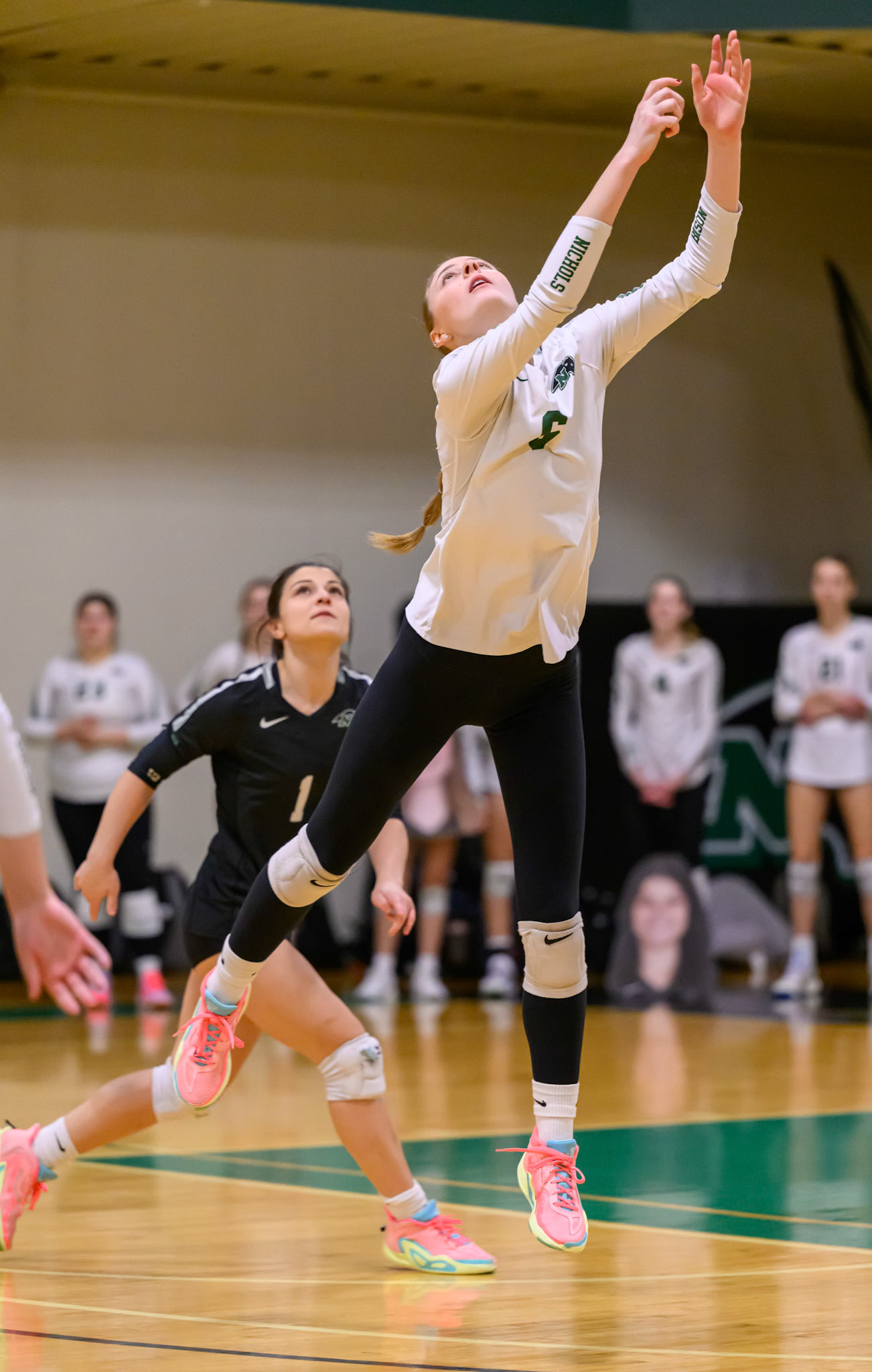 Nichols Volleyball