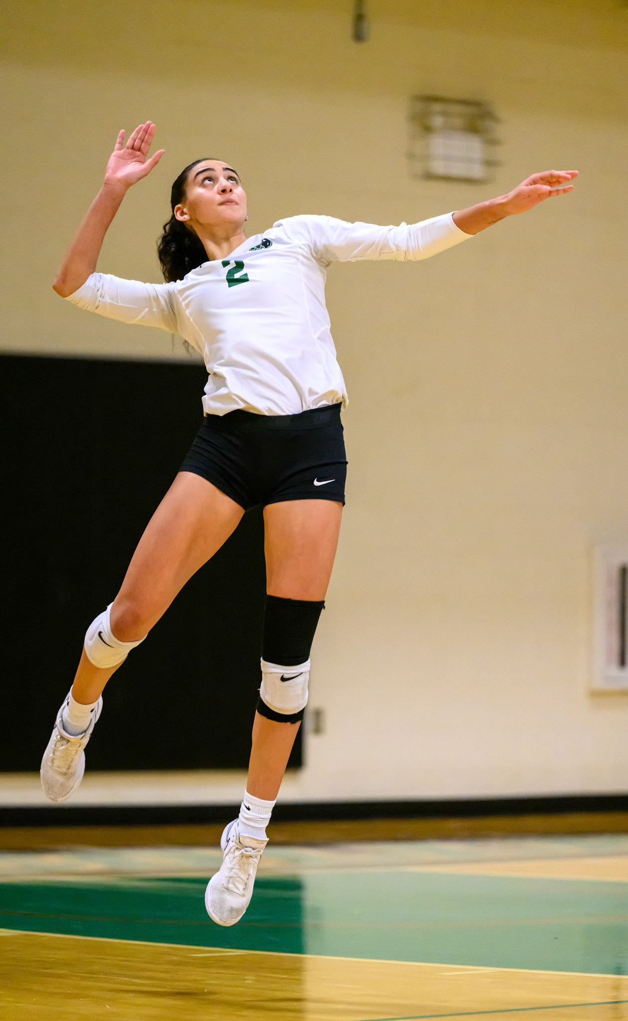 Nichols Volleyball