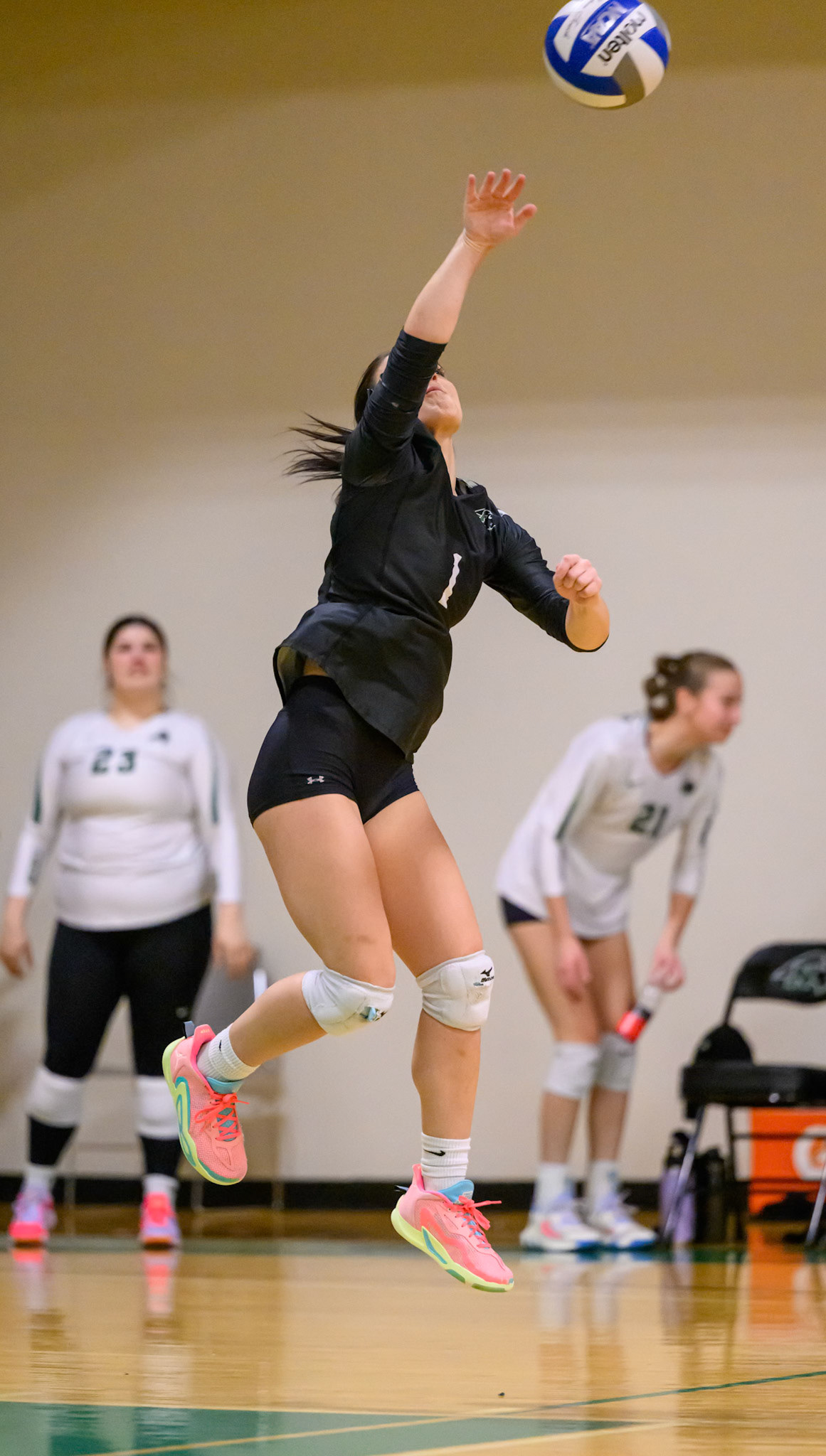 Nichols Volleyball