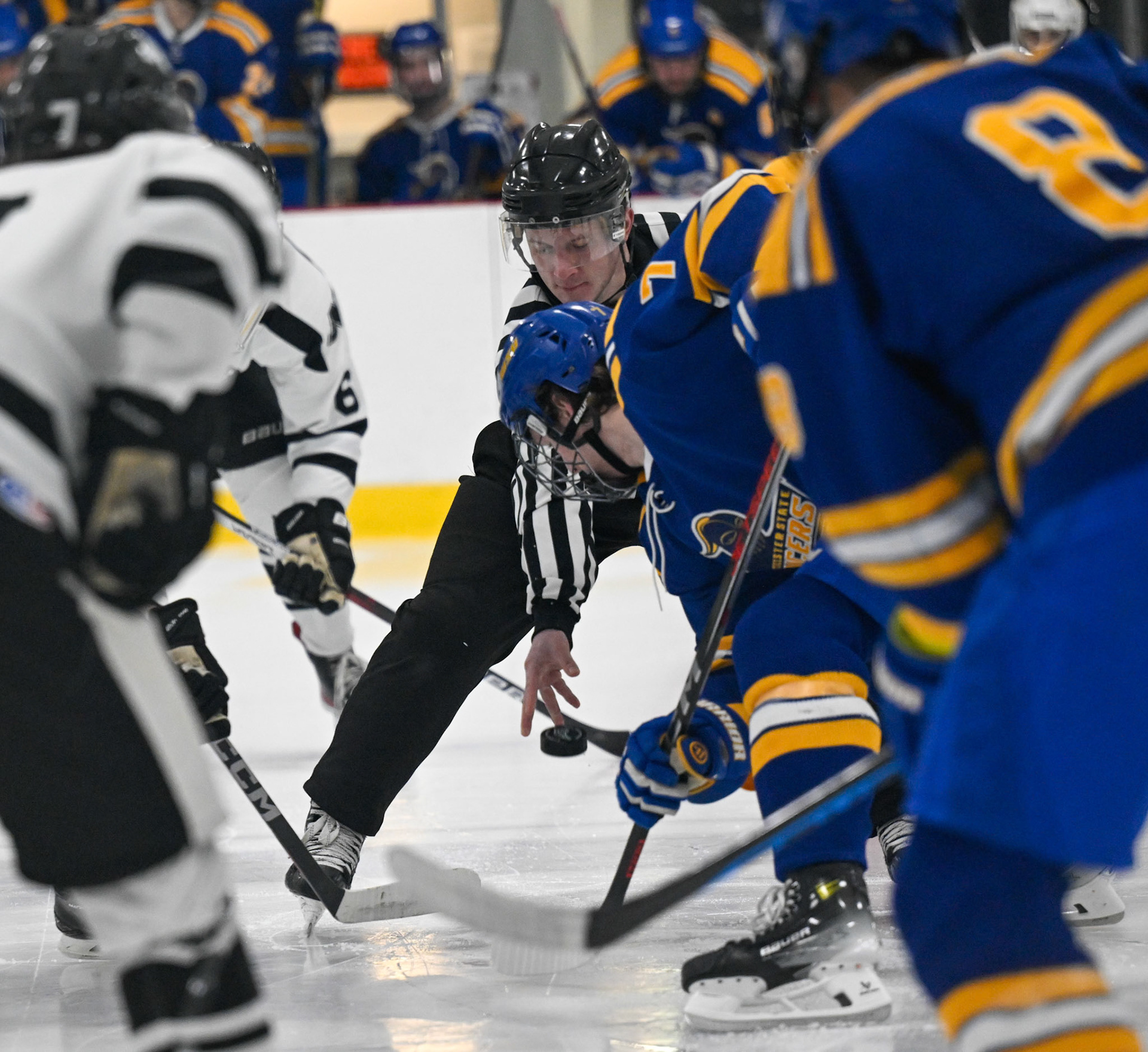 WSU Men's Ice Hockey