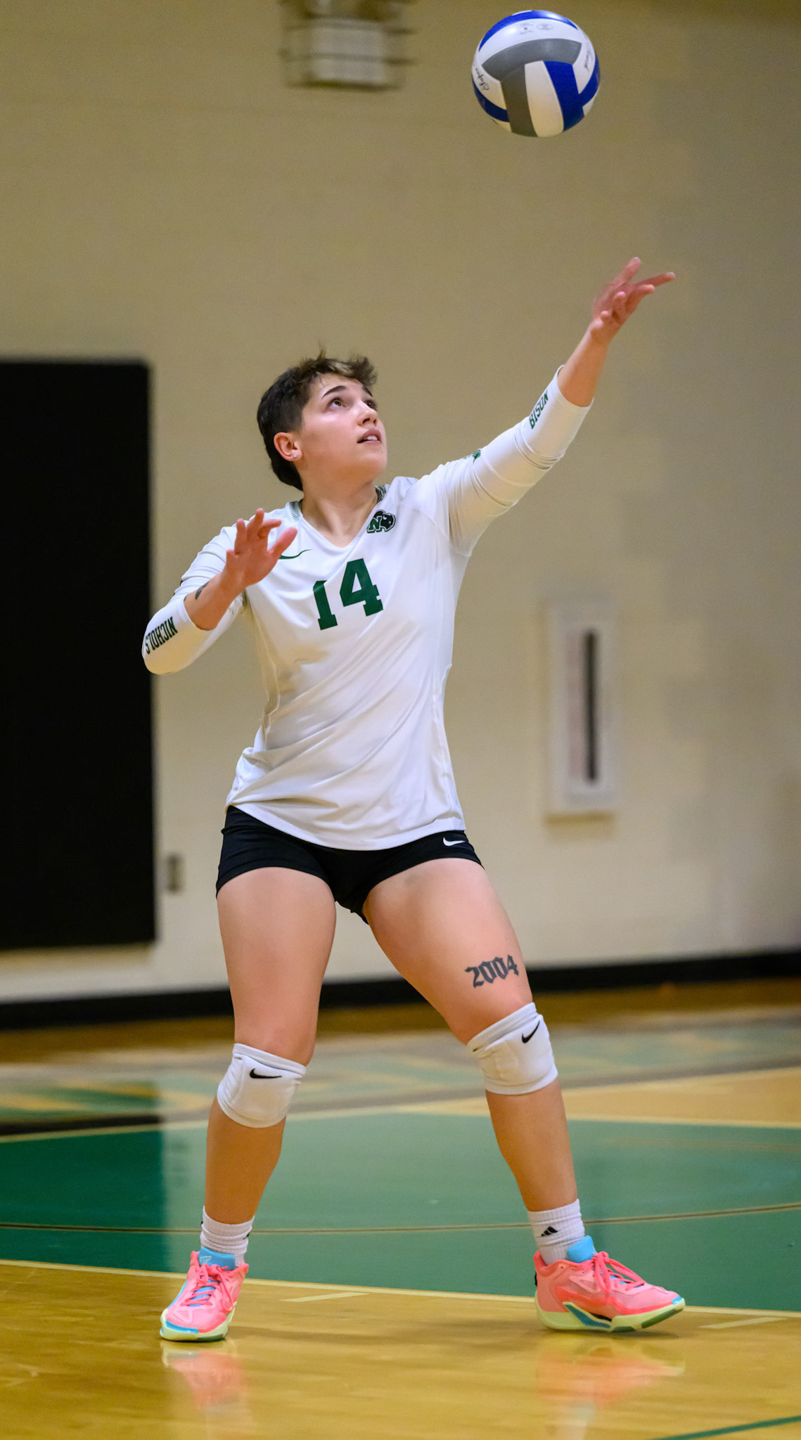 Nichols Volleyball