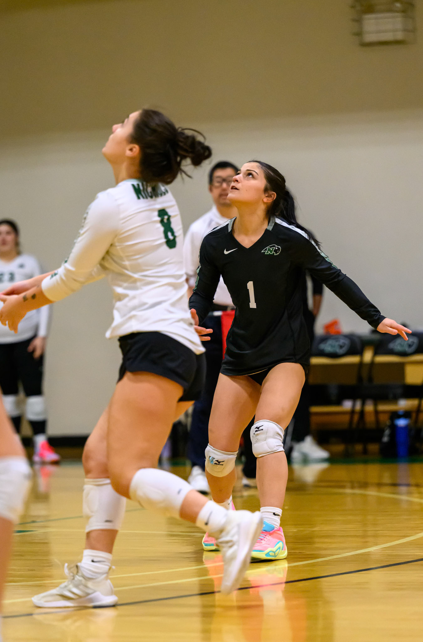 Nichols Volleyball