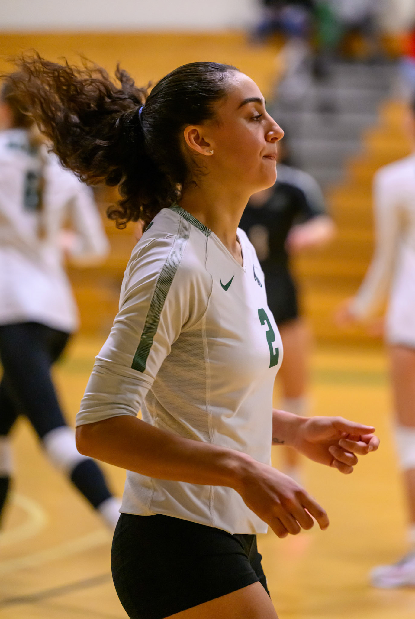 Nichols Volleyball