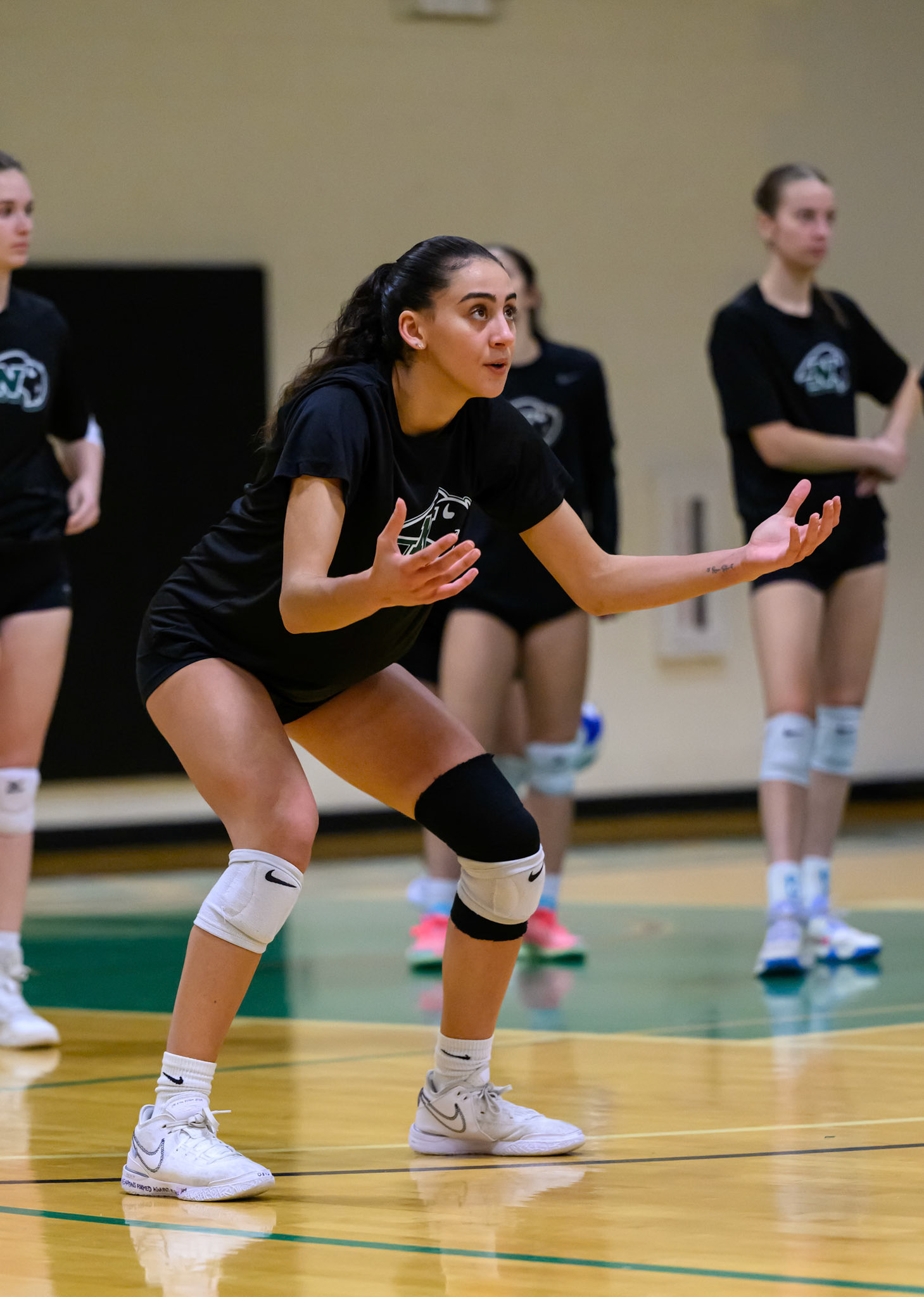 Nichols Volleyball