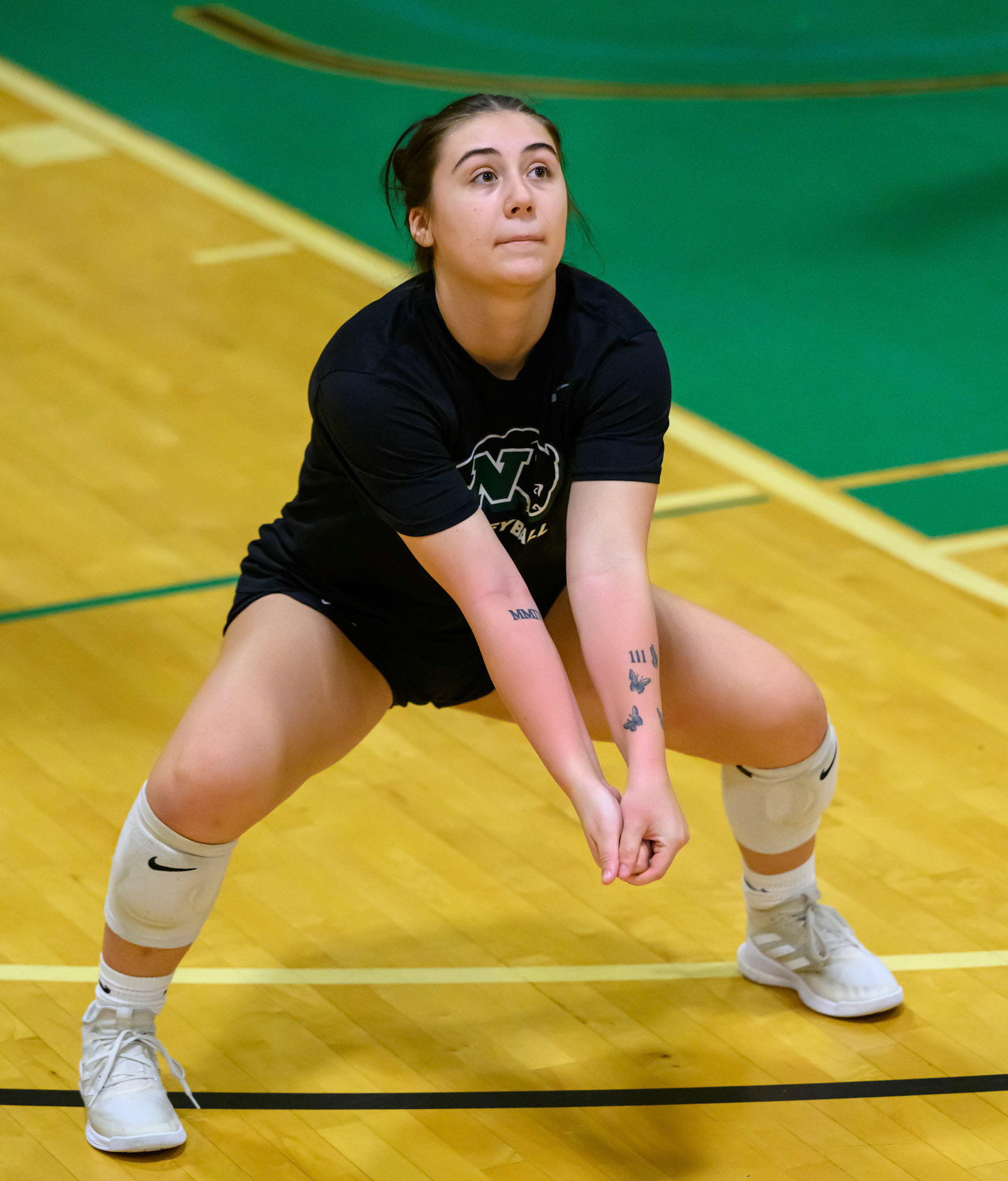 Nichols Volleyball