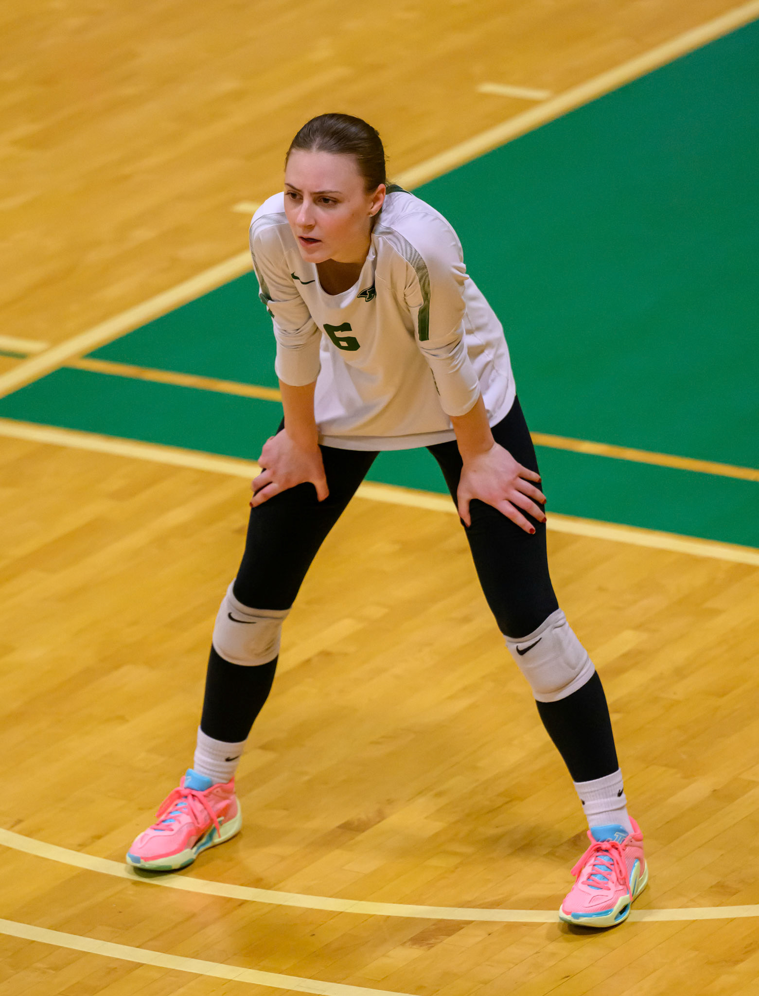 Nichols Volleyball