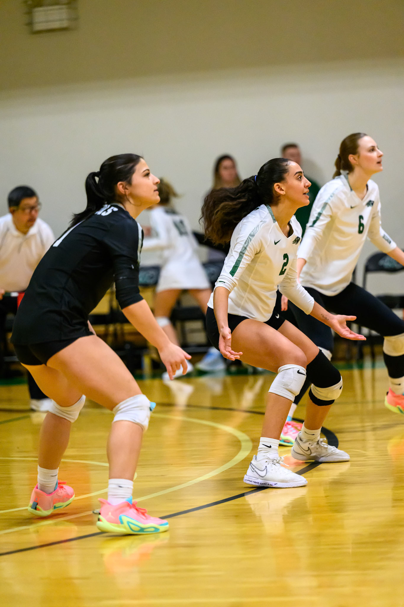 Nichols Volleyball