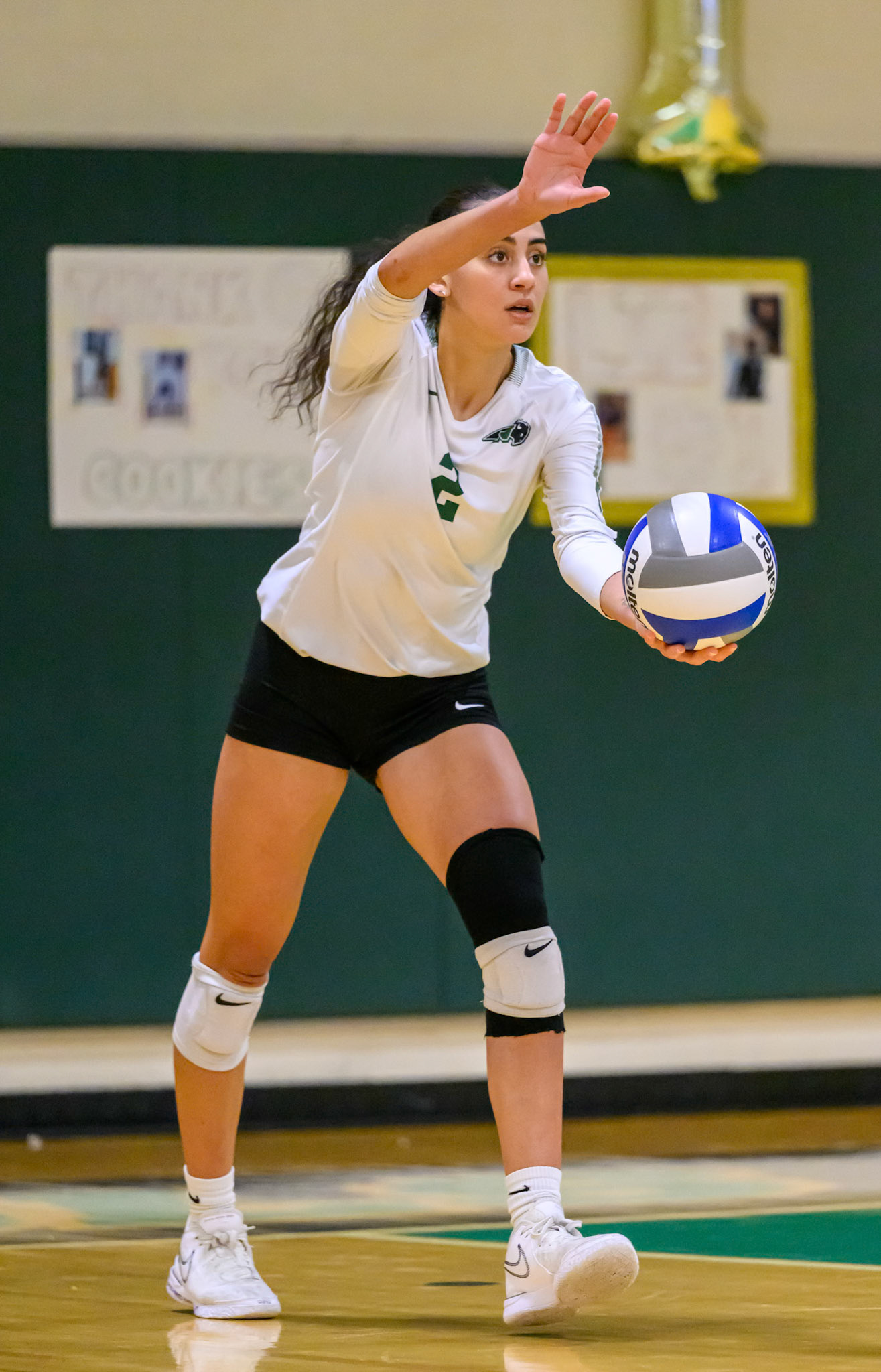 Nichols Volleyball