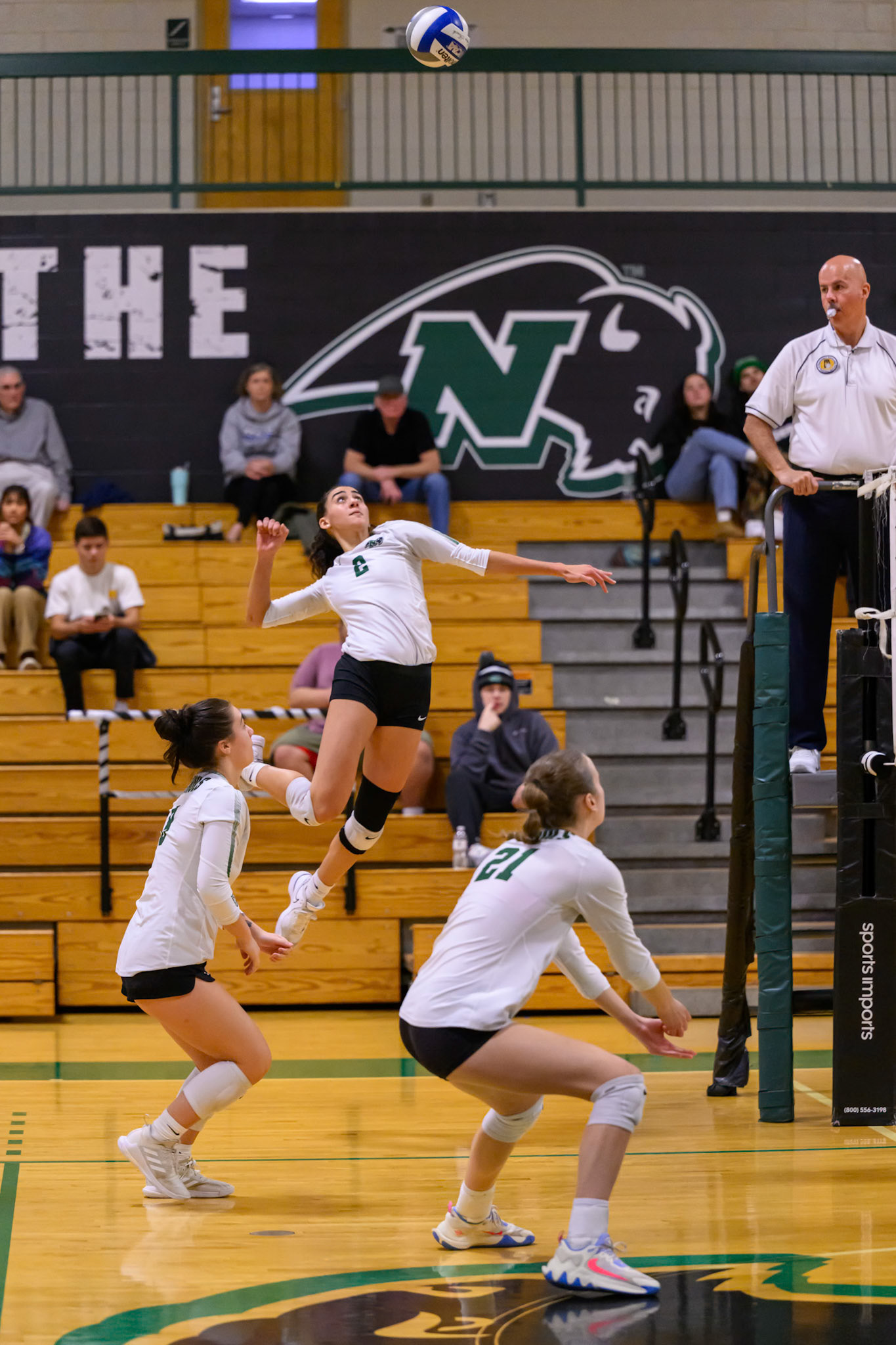 Nichols Volleyball